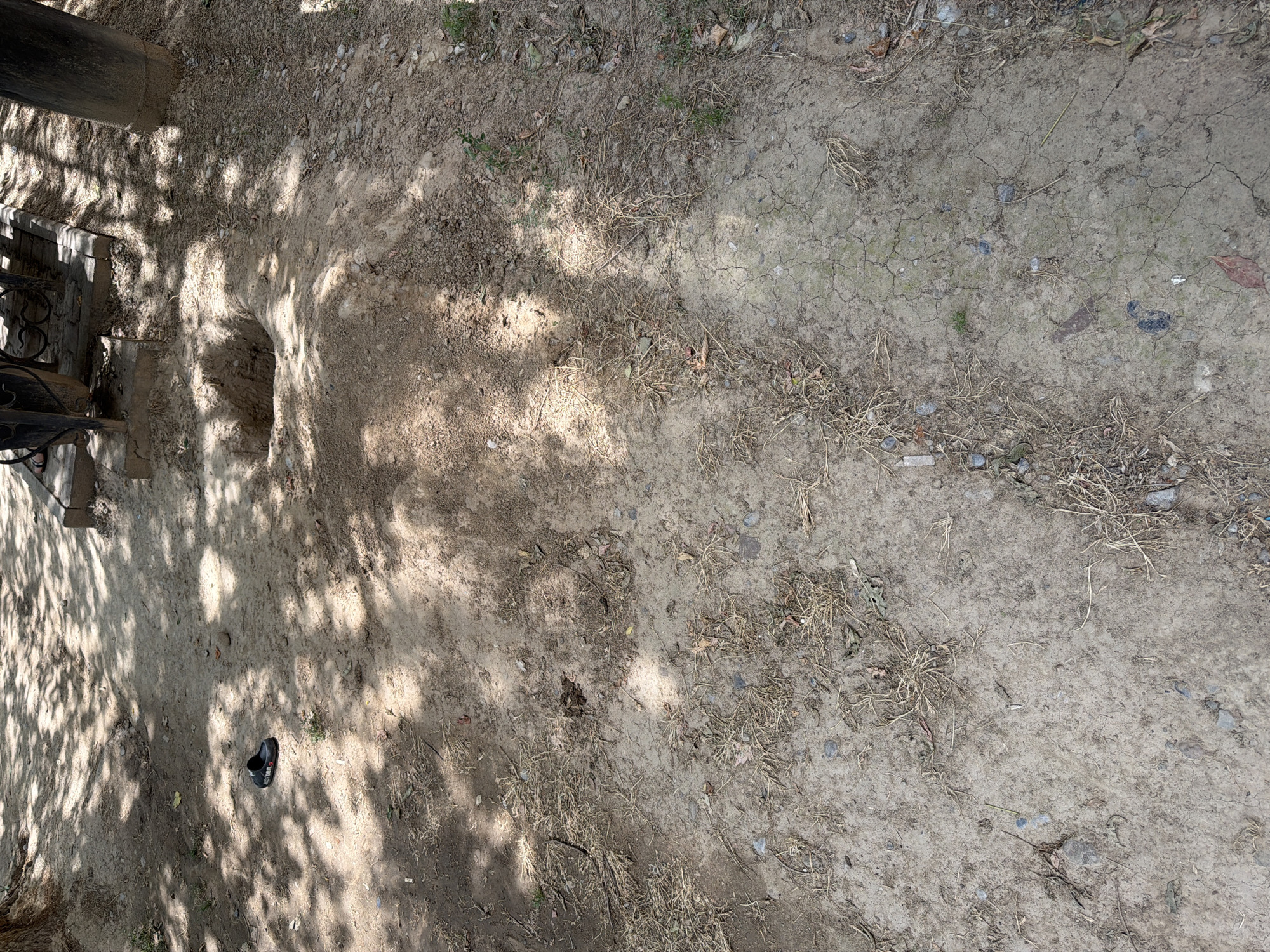 The image depicts an outdoor scene with dry, cracked earth and sparse vegetation, indicative of arid or semi-arid conditions. Sunlight casts dappled shadows across the ground, suggesting it is daytime, likely sunny. The ground is a mixture of dirt, small stones, and dried plant matter. In the upper left quadrant, there is a dark, vertical object that appears to be a wooden post or column, partially obscured by shadows. Adjacent to this, to the left, is a section of what looks like a concrete step or ledge with some wrought iron fencing. A notable feature in the center left of the image is a small, roughly dug hole or burrow in the ground, possibly an animal dwelling. Towards the bottom center, a single black shoe or boot lies on the ground. The overall impression is of a somewhat neglected or unkempt outdoor space, possibly a rural or undeveloped area, within the context of Shymkent, Kazakhstan. No specific activity or event is clearly taking place.