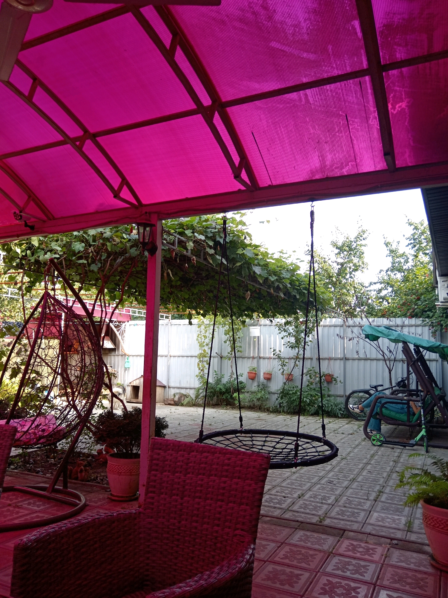 In the city of Zhilino-2, Russia, this image depicts a backyard scene under a vibrant pink canopy. The canopy, constructed of translucent corrugated material supported by a metal frame, casts a colored hue over the outdoor space. In the foreground, a red wicker chair is partially visible, suggesting an area for seating. To the left, a large, intricate wire swing chair with pink cushions hangs suspended. Further back, a round, black net swing is also hanging. A vine-covered trellis runs overhead, creating a natural green ceiling. The ground is paved with decorative patterned tiles. Beyond the paved area, a corrugated metal fence encloses the yard. Several potted plants are hung on the fence. To the right, a green swing set with a canopy is present, and a bicycle and a green kick scooter are parked nearby. A person is seated on the swing set. A doghouse and a fluffy, light-colored dog are visible near the center of the background. The overall environment appears to be a well-utilized outdoor living space.