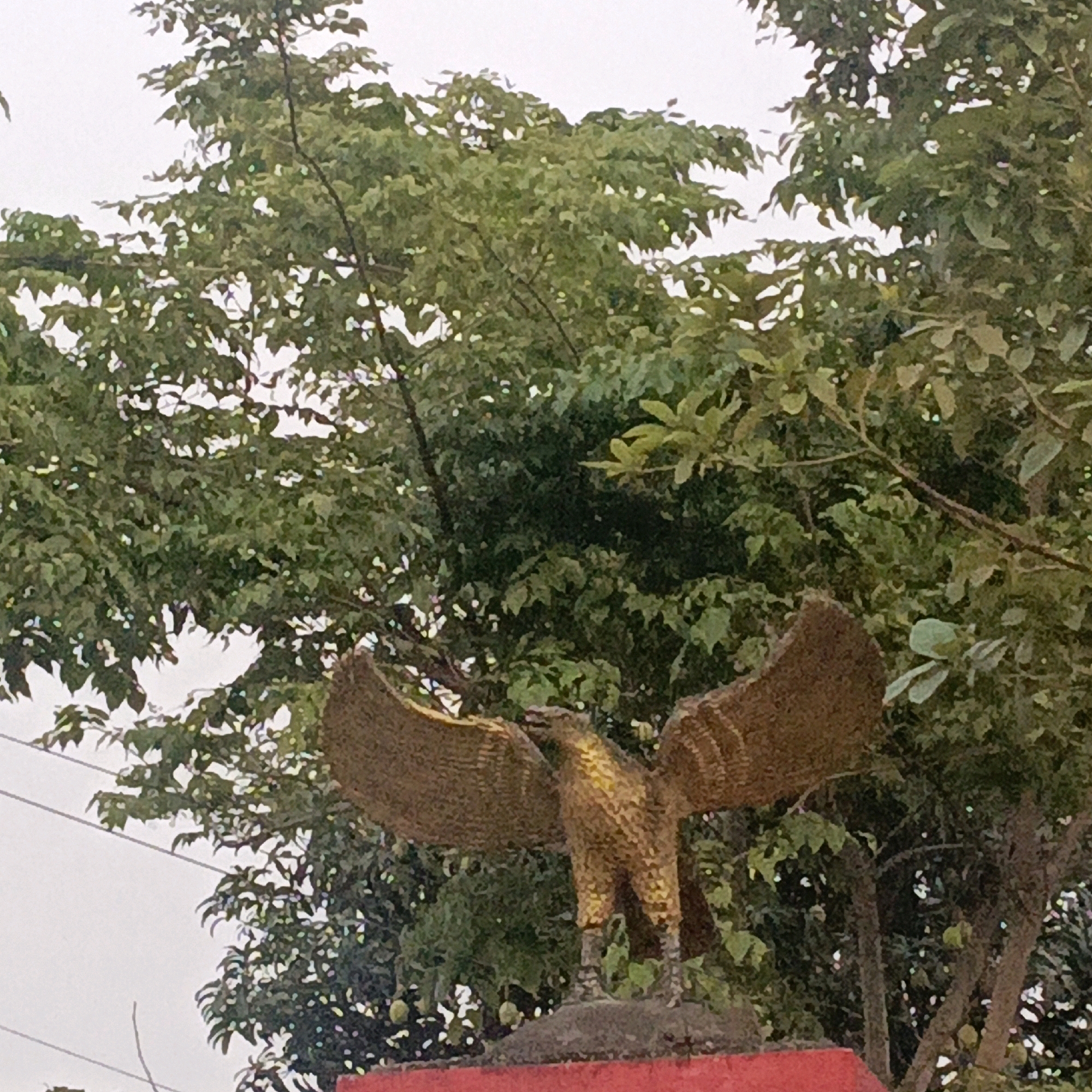 The image shows a golden eagle statue with outstretched wings, standing on a reddish-brown base. The statue is detailed, appearing to be made of woven material, possibly straw or a similar natural fiber, with a metallic finish. It is positioned outdoors, with lush green foliage from trees forming the background. The sky is overcast and pale. The base of the statue is slightly raised and appears to be part of a larger structure, also red. There are thin, dark lines that could be electrical wires visible in the upper left portion of the image. The statue itself is the primary subject, with the natural environment serving as a backdrop. The image was taken in Salatiga, Indonesia.