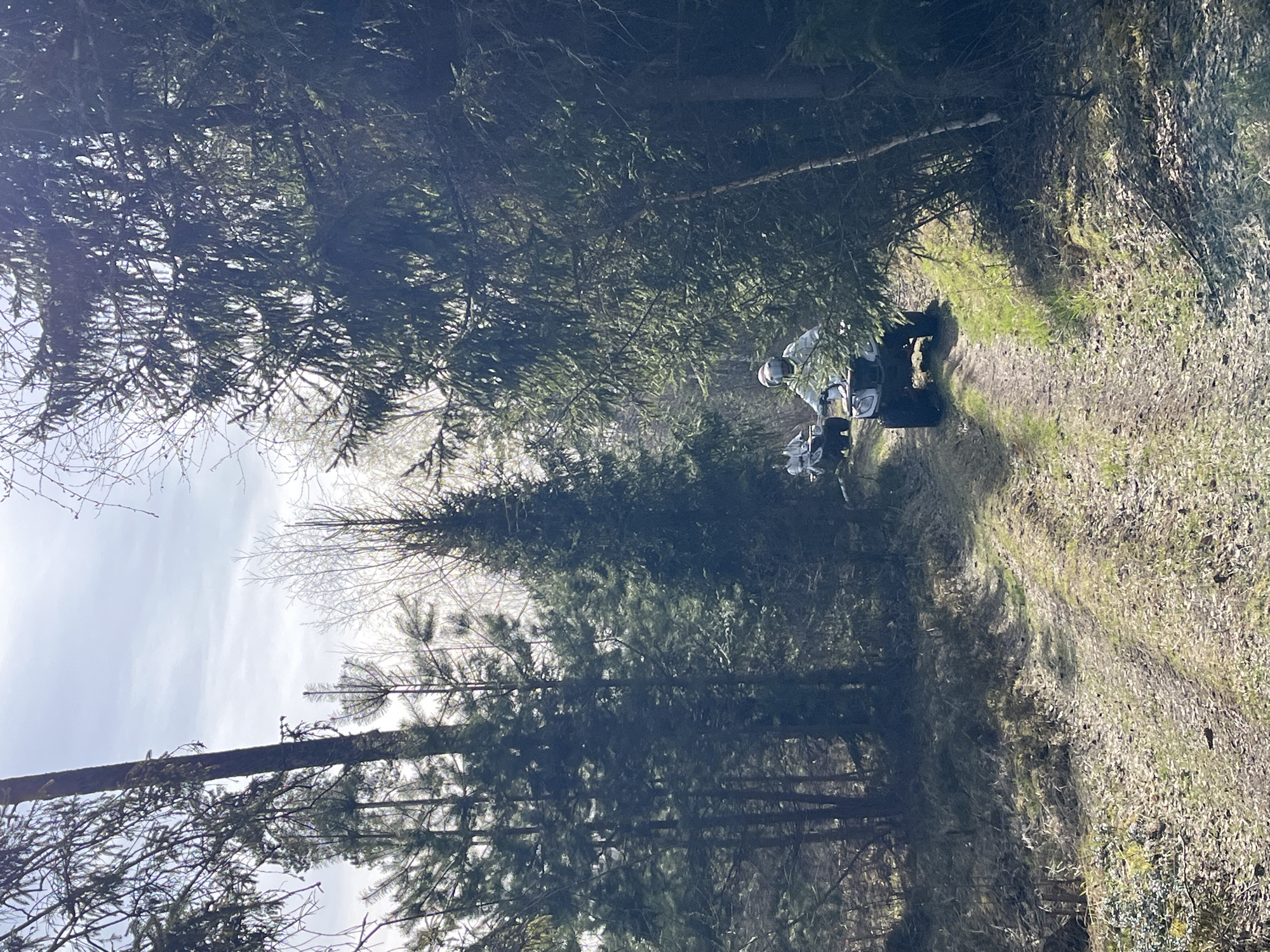 The image shows a person wearing a helmet riding an ATV on a dirt path in a wooded area. The path is lined with grass and trees, suggesting a location in a forest or park. The sky is visible through the trees, indicating it is daytime. The specific location is Раздолье, Russia.