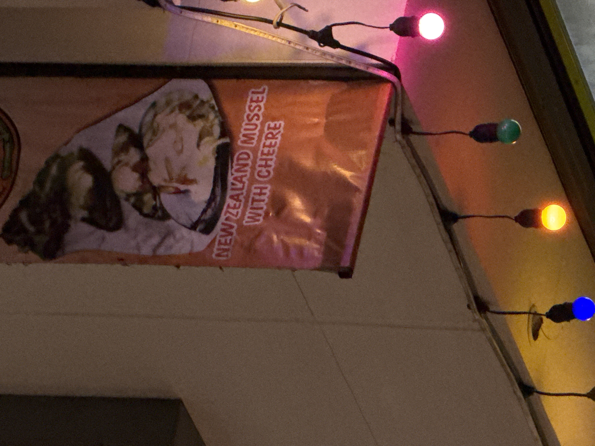 The media file is a photograph of a sign advertising "NEW ZEALAND MUSSEL WITH CHEERE". The sign is orange and features an image of a bowl of mussels. The sign is illuminated by a string of lights, some of which are colored pink, green, yellow, and blue. The background appears to be an outdoor setting, possibly a restaurant or food stall. The overall impression is one of a nighttime scene, likely in a location with a festive or commercial atmosphere. The text on the sign is clearly legible. No people are visible in the frame.