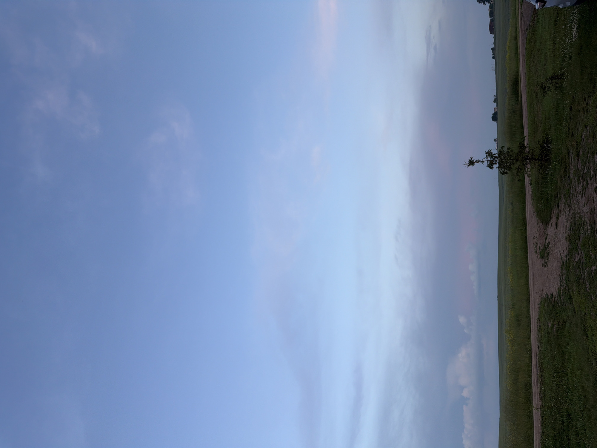 The image depicts a wide, open landscape under a pale blue sky with scattered, wispy clouds. The horizon is lined with a flat, green field, hinting at agricultural land or rolling plains. In the foreground, a dirt path or road curves through dark green grass. A small, solitary evergreen tree stands to the right of the path, its branches reaching upwards. In the distance, several buildings are faintly visible, suggesting a rural settlement or farmsteads. The lighting suggests either early morning or late evening, with a soft, diffused light. The location is specified as Nizhniy Suyk-Su, Russia.