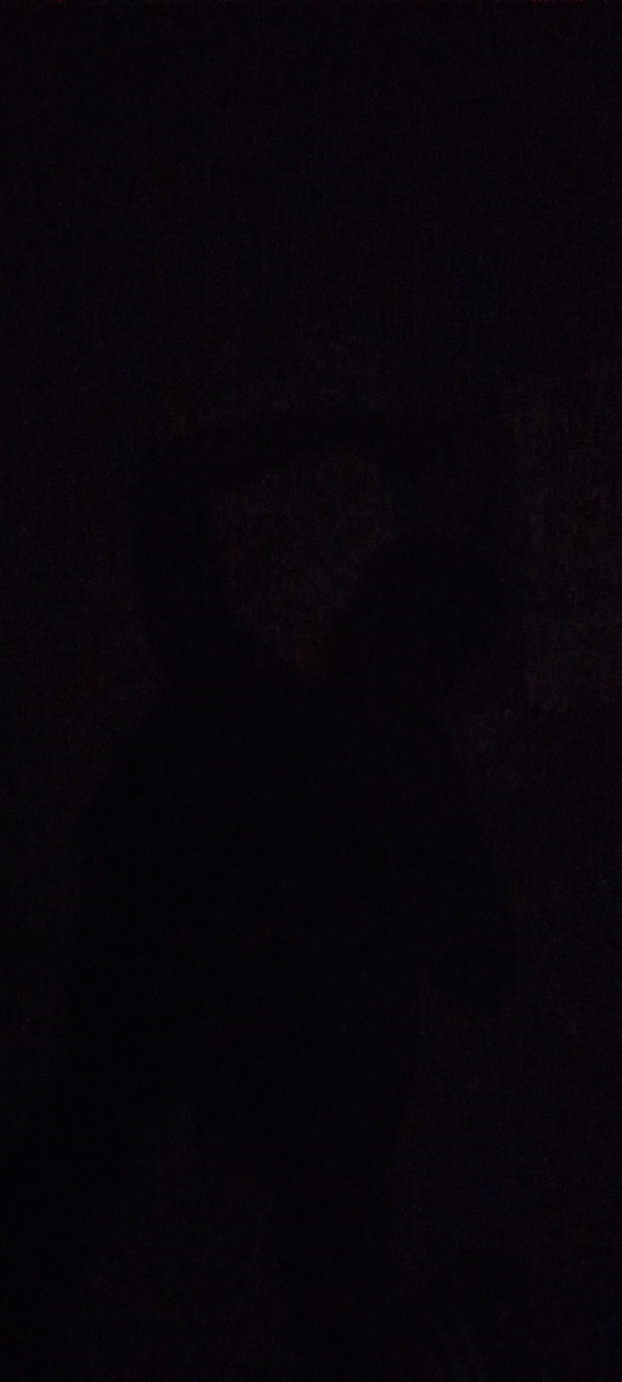 The image is almost entirely black, characterized by pervasive darkness and extremely low visibility, making it nearly impossible to discern specific details. Subtle, indistinct variations in shade are faintly perceptible in the central and upper-central portions, appearing as amorphous, dark masses or silhouettes against the deeper black background. However, no specific subjects such as people, distinct objects, or clear outlines can be definitively identified from these faint forms. Consequently, no activity or event taking place is discernible. The extreme lack of light suggests the image was captured in a very dark environment, possibly at night or indoors without illumination. There are no visible text elements, specific location cues within the frame, or discernible emotions. The provided crop images reiterate the overall darkness without offering further clarity regarding any potential subjects or details.