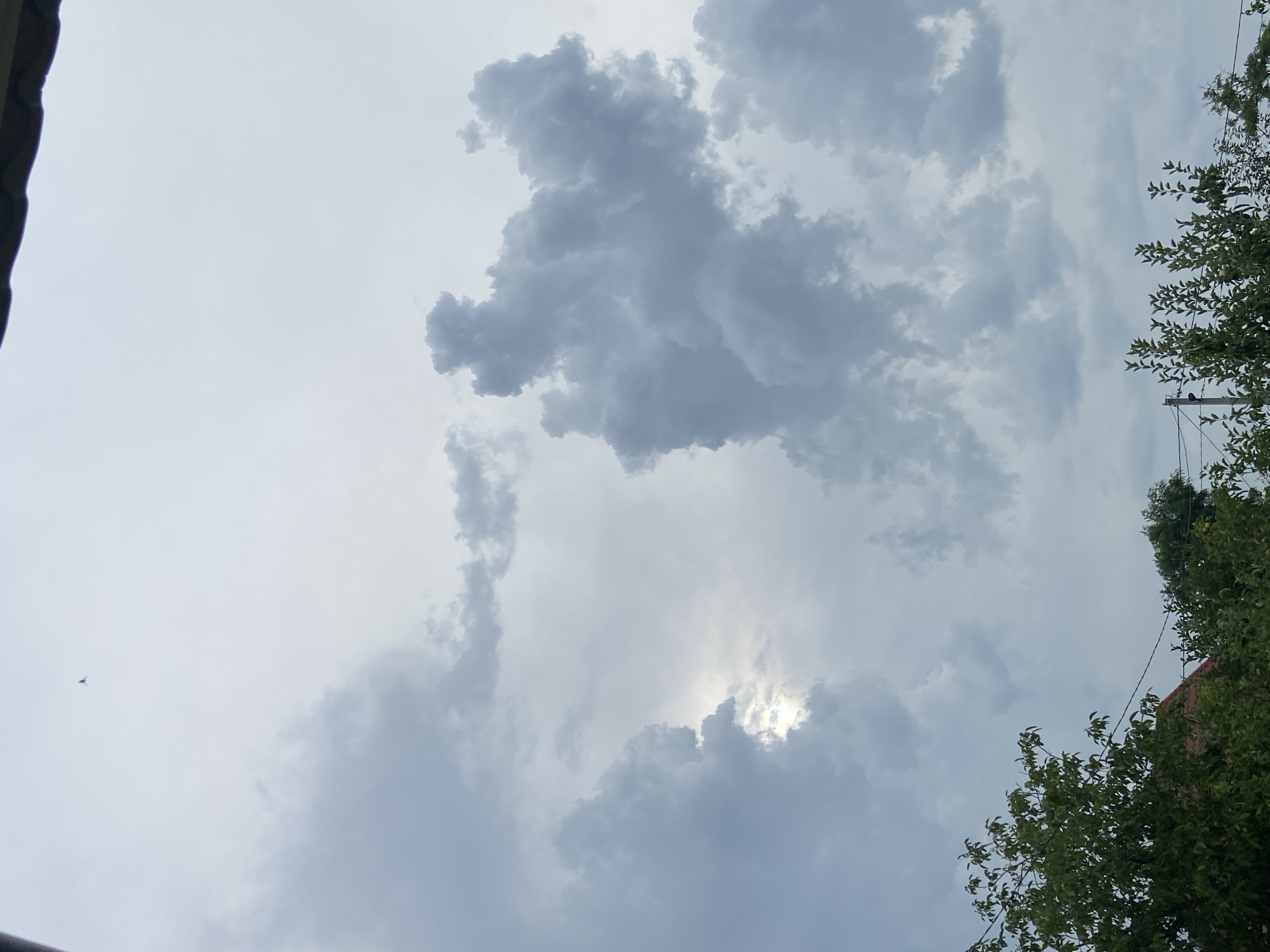 The image captures a cloudy sky over a residential area. In the lower portion of the frame, lush green trees and the red roof of a house are visible. Power lines run horizontally across the scene, supported by a utility pole. The sky is dominated by large, dramatic clouds, with a small bird appearing as a speck in the upper portion of the frame. The overall impression is one of an overcast day, possibly before or after a storm.