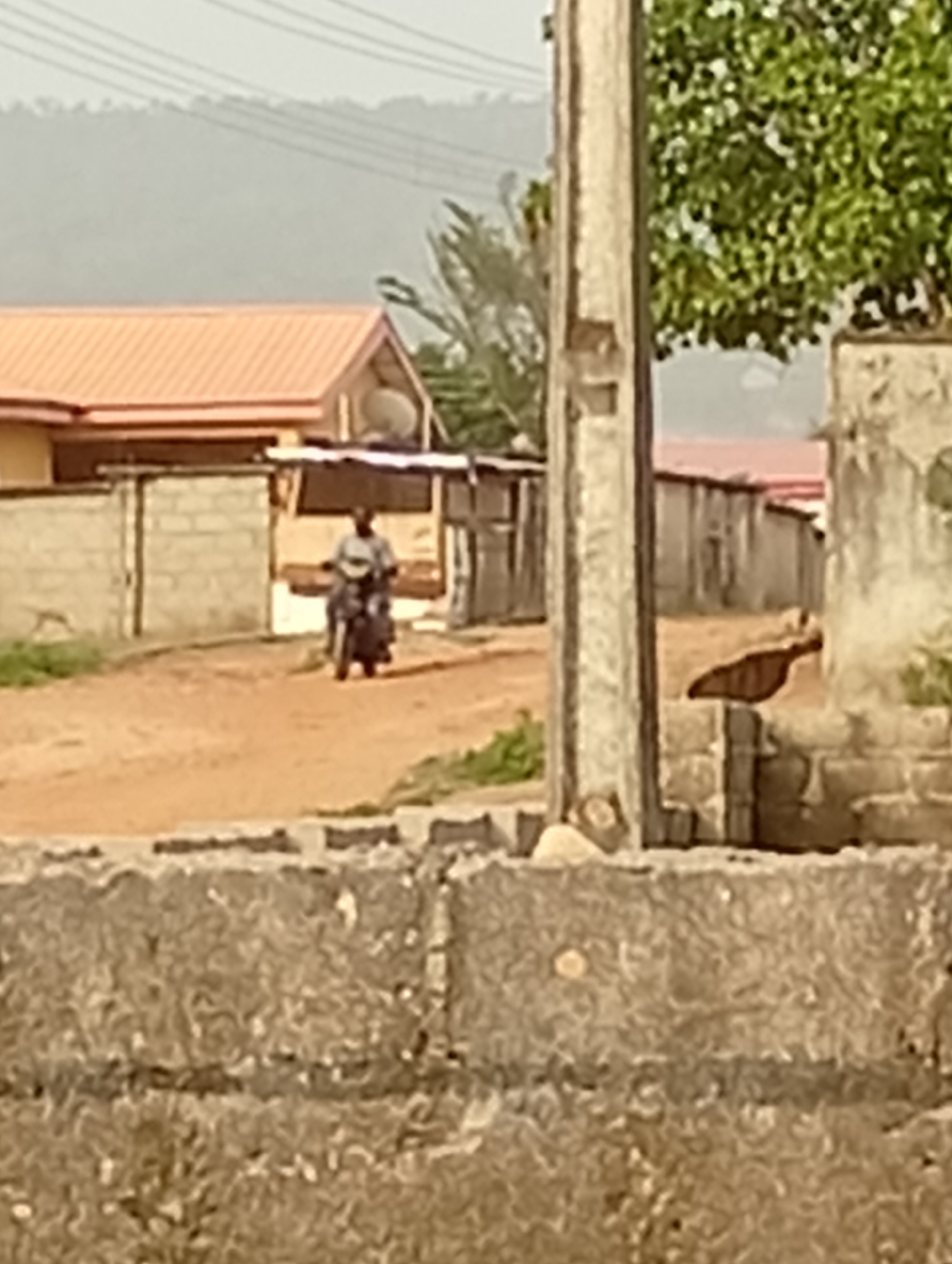 The image depicts a scene in Adankolo, Nigeria. A dirt road stretches into the distance, bordered by buildings constructed of cinder blocks and corrugated metal. A man is riding a motorcycle down the road towards the viewer. In the foreground, a low wall made of concrete blocks is visible, partially obscuring the view. A utility pole is positioned to the right of the frame. Vegetation is present, including a tree in the upper right corner. A house with an orange roof and a satellite dish is visible in the background. Distant hills are seen through the haze.