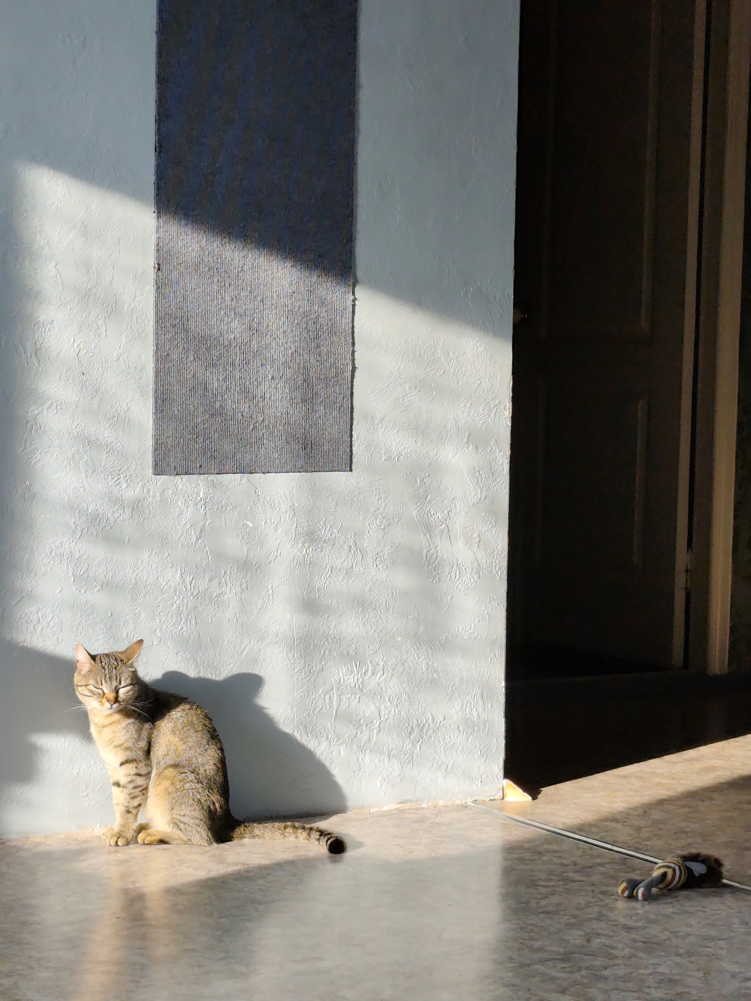 The image depicts a tabby cat sitting on a tiled floor in what appears to be an indoor or semi-enclosed space with a textured wall and a doorway. Sunlight streams in from the right, casting distinct shadows on the wall and floor, highlighting the cat and a small toy on the floor. The wall has a rectangular gray panel affixed to it, and a portion of a dark door is visible on the right side of the frame. The scene is set within a city, but the specific location in Chaikovsky, Russia, cannot be determined from the visual information provided.