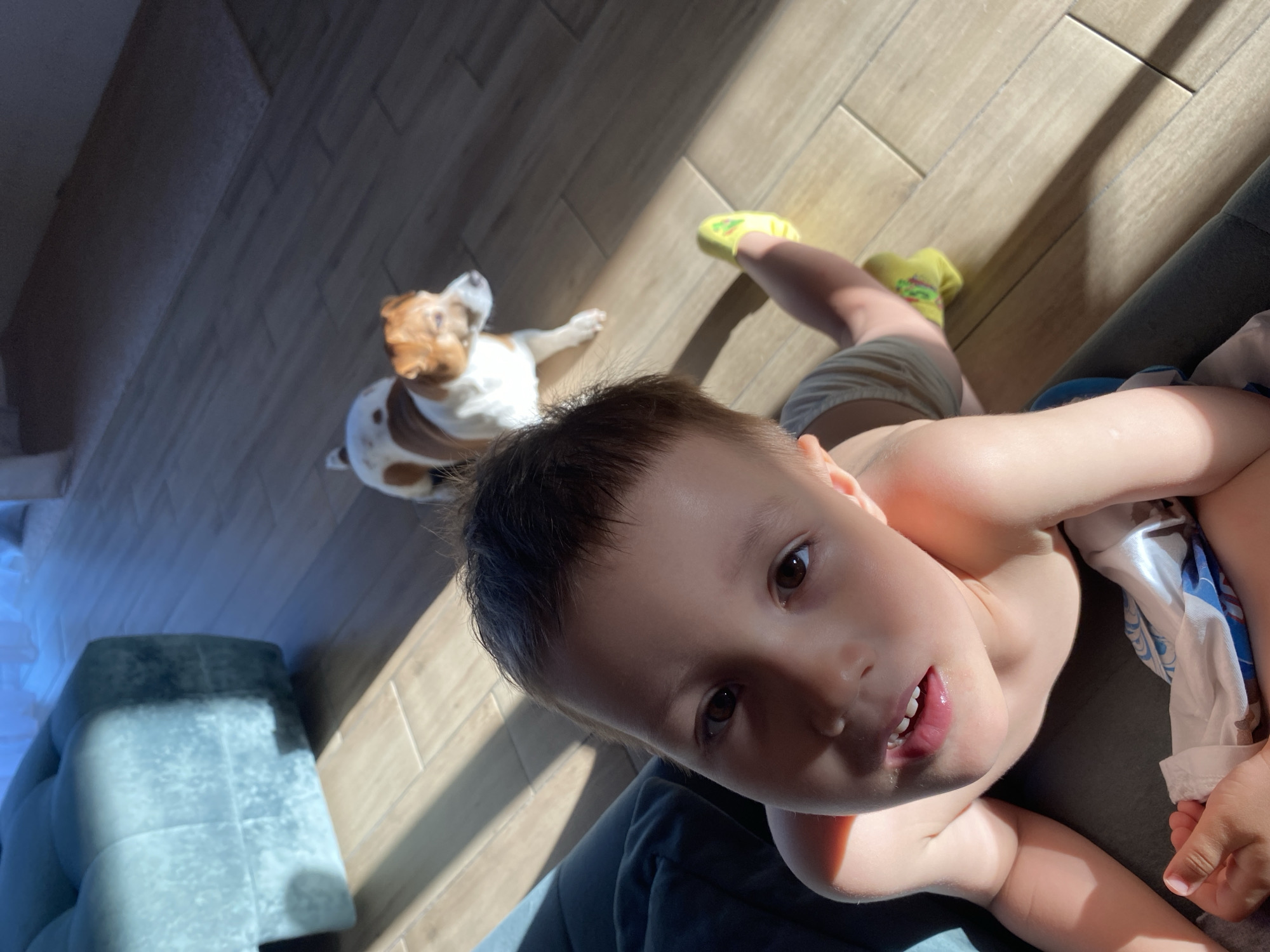 A young child is looking up at the camera, with a dog lying in the background. The child has short dark hair, brown eyes, and is bare-chested with a partial view of their shorts. The child is partially sitting on a grey couch with a white and blue patterned cloth. The dog is a brown and white terrier type breed, lying on a light brown wooden floor. Sunlight is streaming in through a window, creating shadows across the floor and the child. The scene takes place indoors. The location is Chaikovsky, Russia.