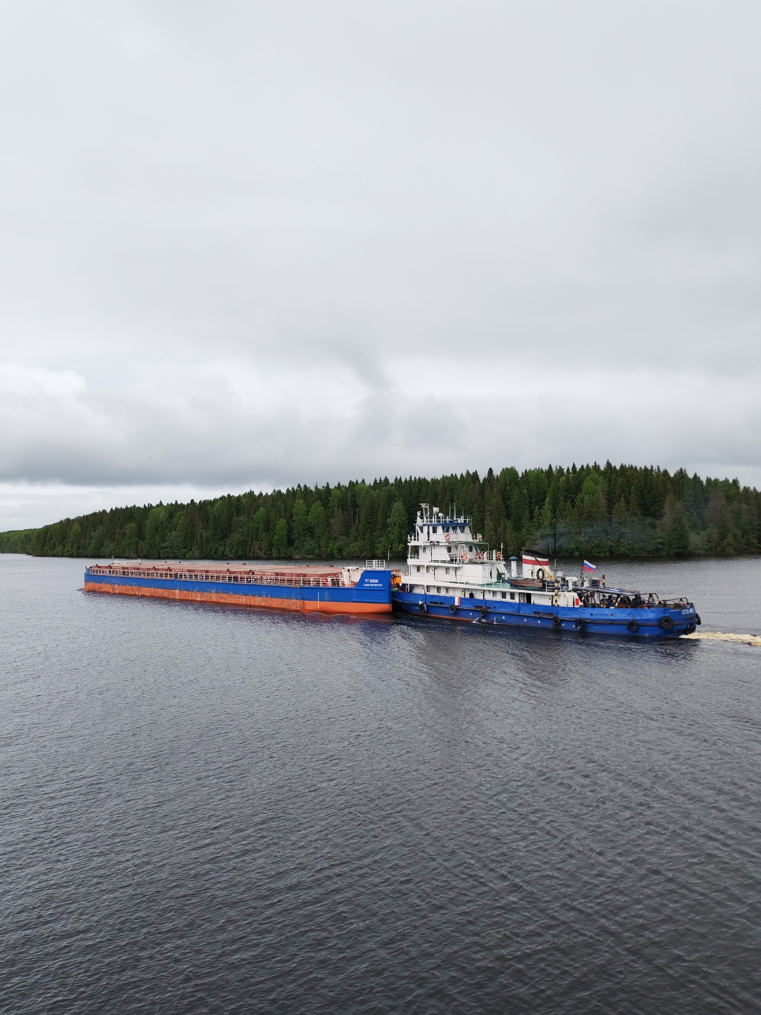 A long, blue and orange barge is being pushed by a blue and white tugboat along a body of water. The tugboat is positioned at the stern of the barge. The setting appears to be in the Раменье area of Russia, judging from the Russian flag on the tugboat and the surrounding environment. A thick, green forest lines the shore in the background. The sky is overcast with grey clouds. The water is dark and rippled, indicating slight movement or wind. There are no people visible in the image.