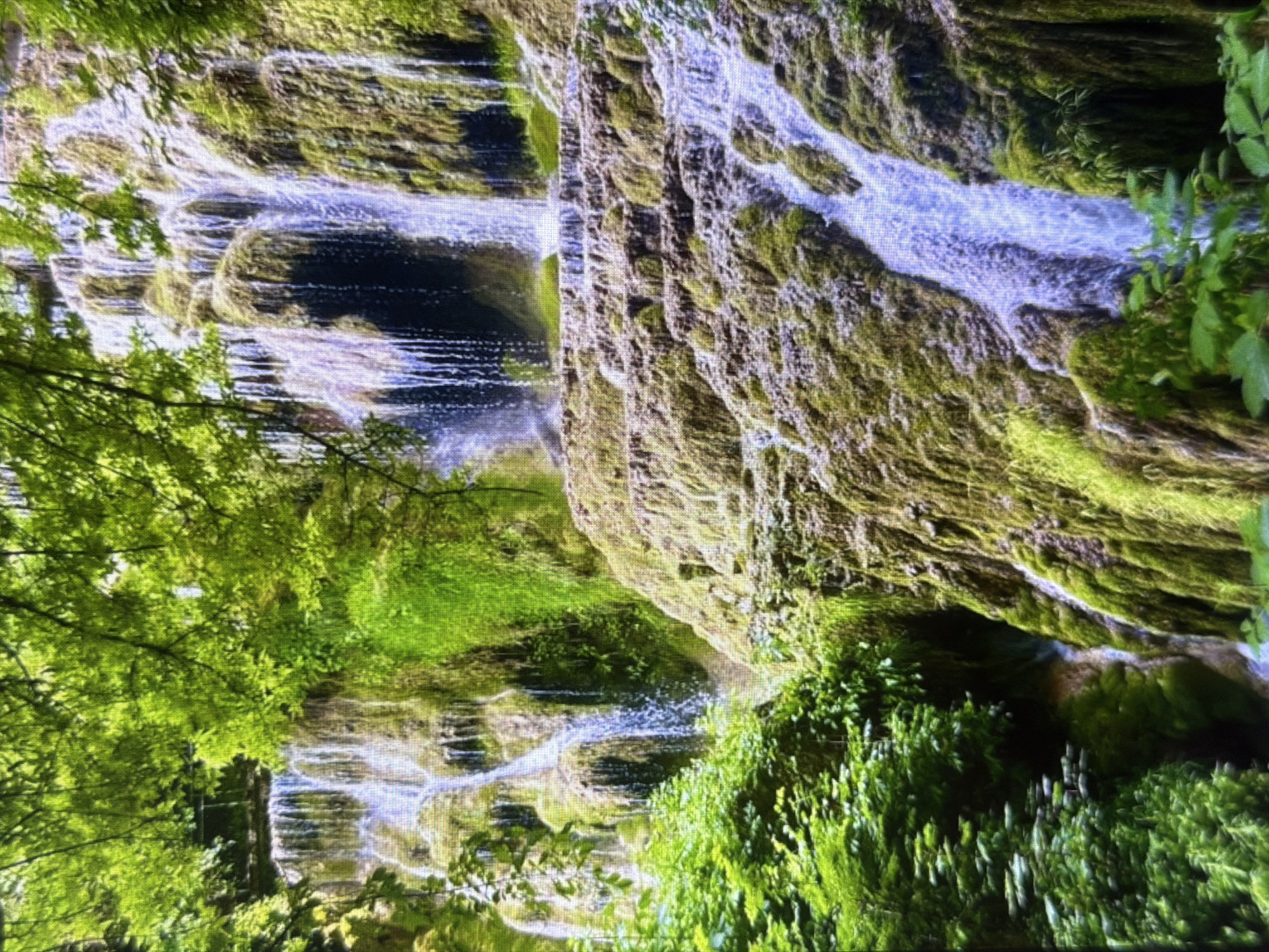 The image displays a vibrant, multi-tiered waterfall cascading down a lush, green natural landscape. Numerous streams of water flow over and down a deeply textured, moss-covered rock face, creating a dynamic and serene visual. The water appears bright white and foamy in many areas as it tumbles, contrasting with the darker, wet rock and the verdant plant life.
The rock formations are extensively covered in thick, bright green moss, along with various ferns and other leafy plants that thrive in the moist environment. Overhead and along the left side, trees with abundant green foliage frame the scene, with sunlight filtering through their leaves. In the lower right, dense green bushes and smaller plants are visible, further emphasizing the rich ecosystem.
No people, animals, or man-made structures are present, highlighting the untouched beauty of the natural environment. The lighting suggests it is daytime, with bright, possibly diffused light illuminating the water and foliage, contributing to a tranquil and splendid atmosphere. Based on the provided context, the location of this natural wonder is Lovech, Bulgaria. The image itself appears to be a photograph of a screen, exhibiting some minor pixelation and faint horizontal scan lines, and is oriented such that the waterfall's vertical flow appears horizontally across the frame.