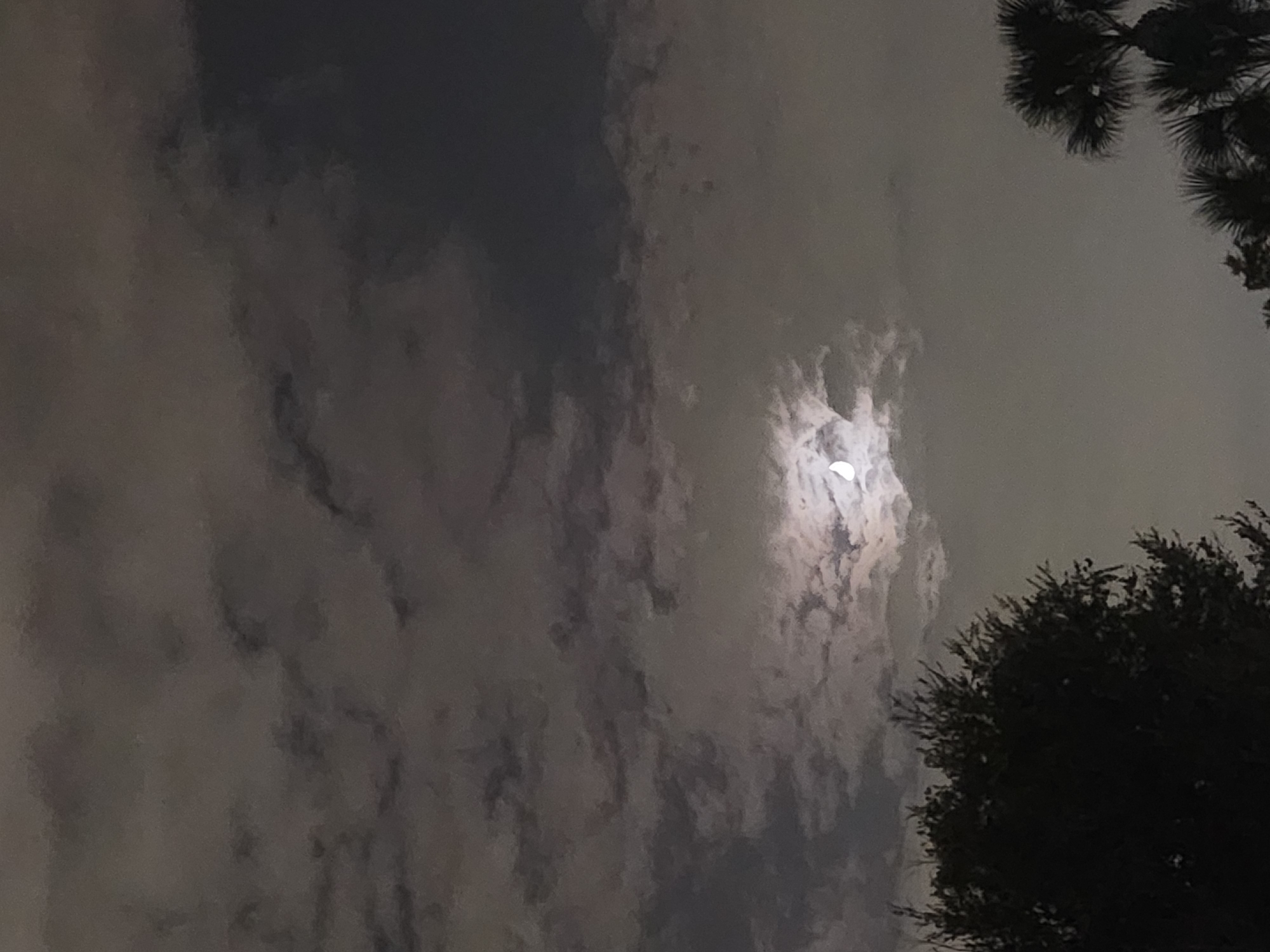 The image depicts a nighttime scene in Altamonte Springs, Florida, United States of America. The sky is filled with dark, textured clouds, with a crescent moon partially visible through a break in the clouds. In the foreground, the silhouettes of trees, including what appear to be palm trees on the right, are visible against the dimly lit sky. The overall atmosphere is dark and moody, characteristic of a cloudy night. There are no people or discernible objects that suggest specific activities or interactions.