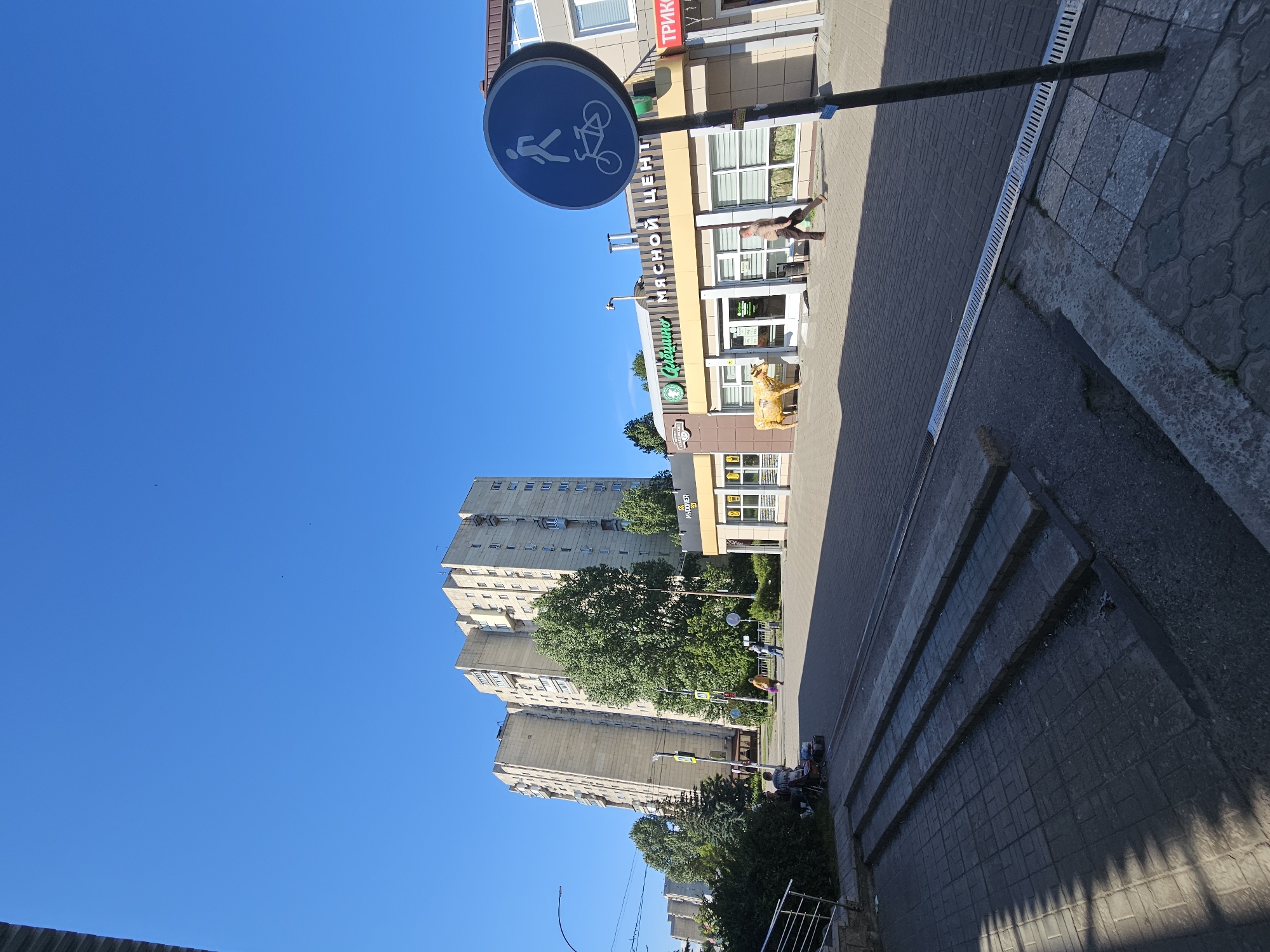 The image shows a street scene in Ulyanovsk, Russia. In the background, a tall, light-colored apartment building with many windows and balconies dominates the sky. In front of the building, there are several trees and smaller buildings. One of these buildings houses a store with a sign that reads "МЯСНОЙ ЦЕНТР" (Meat Center). A yellow cow statue stands outside this store. A pedestrian crossing sign with a silhouette of a person and a bicycle is visible in the foreground. A person in a light brown shirt and dark pants is walking on the pavement in front of the store. Steps are visible in the lower left corner of the image. The sky is clear and blue.
