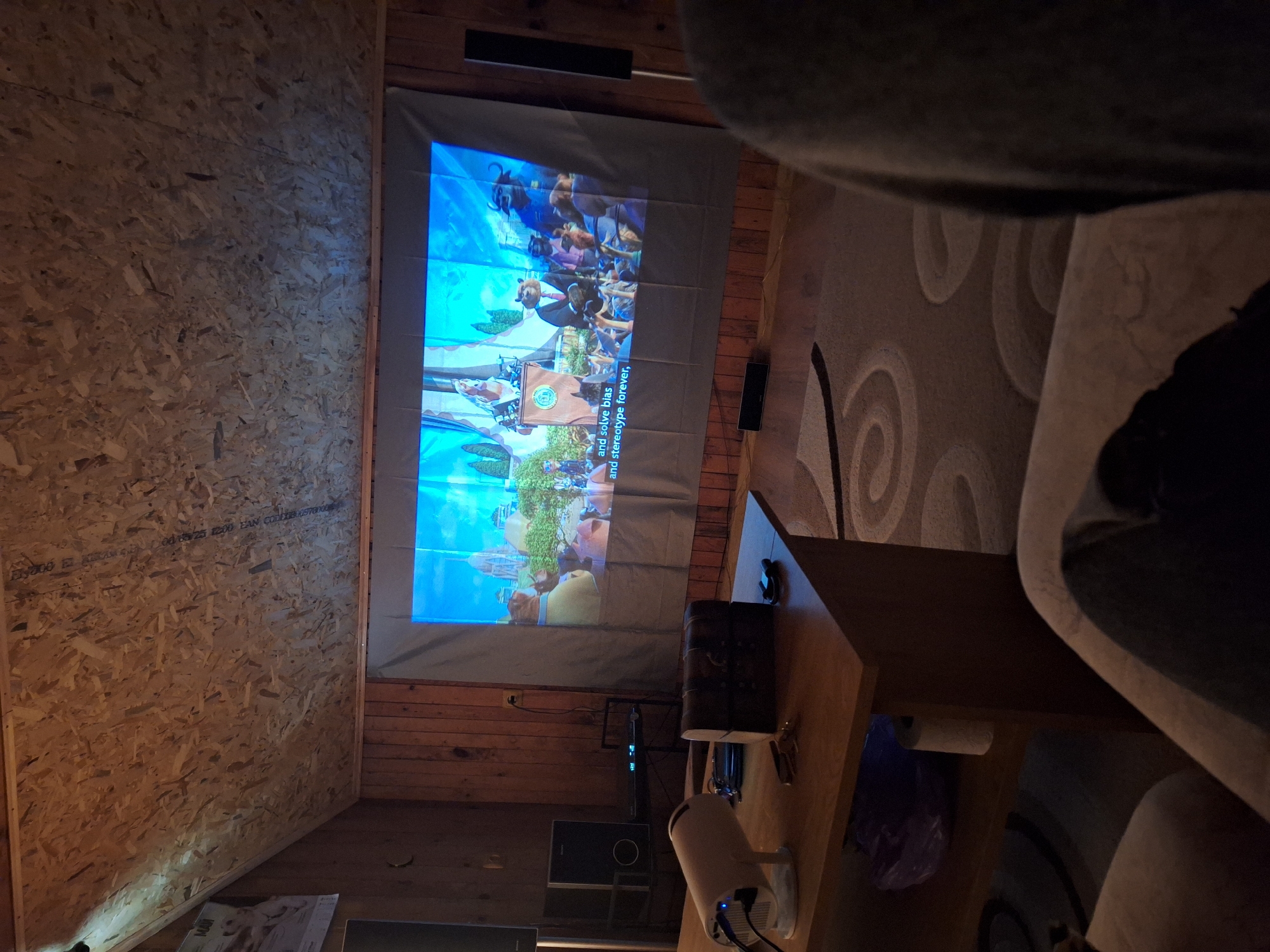 The photo shows an indoor space with exposed OSB (oriented strand board) walls and wooden planks. A projector screen displays an animated scene with subtitles, suggesting someone is watching a video. Below the screen, a wooden table holds a projector, a small black box, and other miscellaneous items. The floor is covered with a circular pattern carpet. A sofa is partially visible in the foreground on the right side of the frame. The image does not provide enough information to definitively place it in Panagyurski kolonii, Bulgaria.