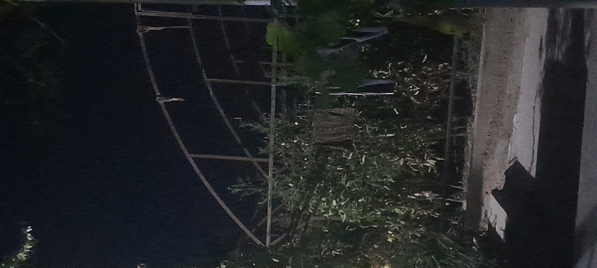 The image depicts a dimly lit outdoor scene, likely at night. In the foreground, a dark, shadowed area suggests a paved surface or ground. Behind this, a dense cluster of green foliage is visible, with some lighter spots that could be leaves or small lights. Overlapping the foliage is a rusty, metal structure, possibly a greenhouse frame or a garden trellis, with curved and angled bars. Some indeterminate objects or cloth hang from the metal structure. The background is mostly dark, with faint hints of trees or shadows. The scene appears to be located in a residential or garden area within Chartak, Uzbekistan.