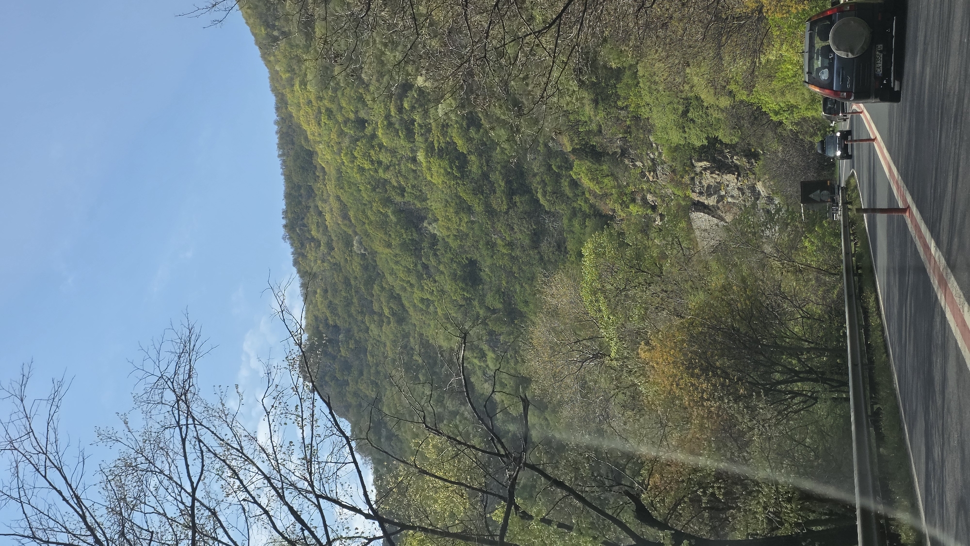 View facing mountainsides covered in dense green forests in Stara Kresna, Bulgaria. Clear blue sky. Road with vehicles and traffic management posts visible on the right. Bare branches of trees in the foreground.