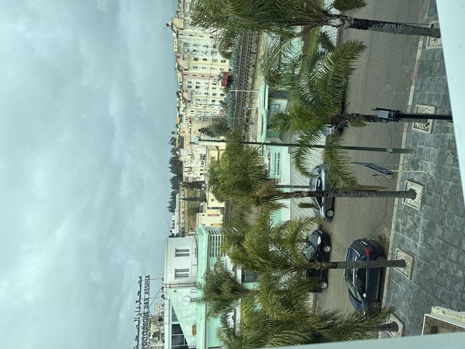 This image captures an urban scene in Meknes, Morocco, specifically overlooking the Polyclinique Dar Asseha area. The view is from an elevated vantage point, possibly a window, under a uniformly overcast, grey sky.
In the immediate foreground, a tiled pedestrian area is visible, featuring square planters with white stone infill around the bases of several tall palm trees. A wet asphalt street runs across the midground, indicating recent precipitation. Parked vehicles include a dark blue SUV (likely a Citroën C5 Aircross), a black minivan, and a grey hatchback, interspersed among additional palm trees and utility poles.
Directly across the street, a low-rise building, predominantly light green, displays partial Arabic signage for "مصح دار الصحة" (Polyclinique Dar Asseha). Further to the left and slightly behind, the main Polyclinique Dar Asseha building is prominent. This multi-story structure features white facades with light green trim and a large rooftop sign clearly stating "POLYCLINIQUE DAR ASSEHA" in Latin script, alongside its Arabic equivalent. A ladder is affixed to one side of this building.
Behind the Polyclinique Dar Asseha, a set of railroad tracks traverses the scene horizontally on an elevated embankment. Beyond the tracks, a densely packed residential district extends into the background, characterized by numerous multi-story buildings displaying varying shades of white, beige, and pastel colors, some appearing weathered. Several buildings feature rooftop satellite dishes. The distant horizon is defined by a line of dark green trees. No individuals are visible within the depicted scene.