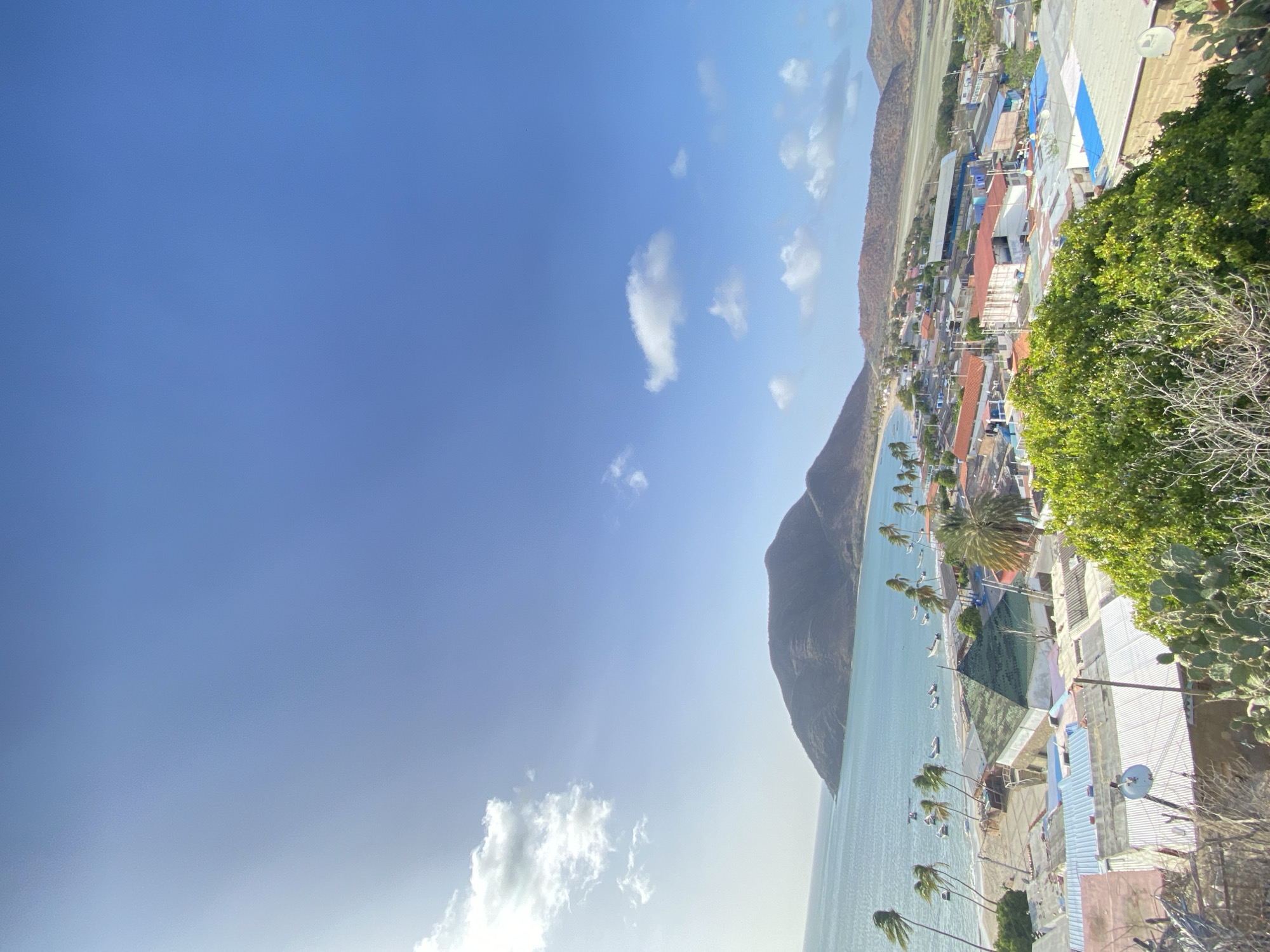 This image shows a panoramic view of the city of Juan Griego, Venezuela, on a bright, sunny day. The sky is predominantly blue with scattered white clouds. A mountain extends down into the sea. Coastal development includes a row of palm trees along a beach, buildings with assorted roofs of green, blue, red, and white, and a collection of boats in the bay. A portion of the city continues from the beach into the distance, stretching away beneath the mountain and alongside a runway. Close to the camera, there is a dense patch of green foliage.