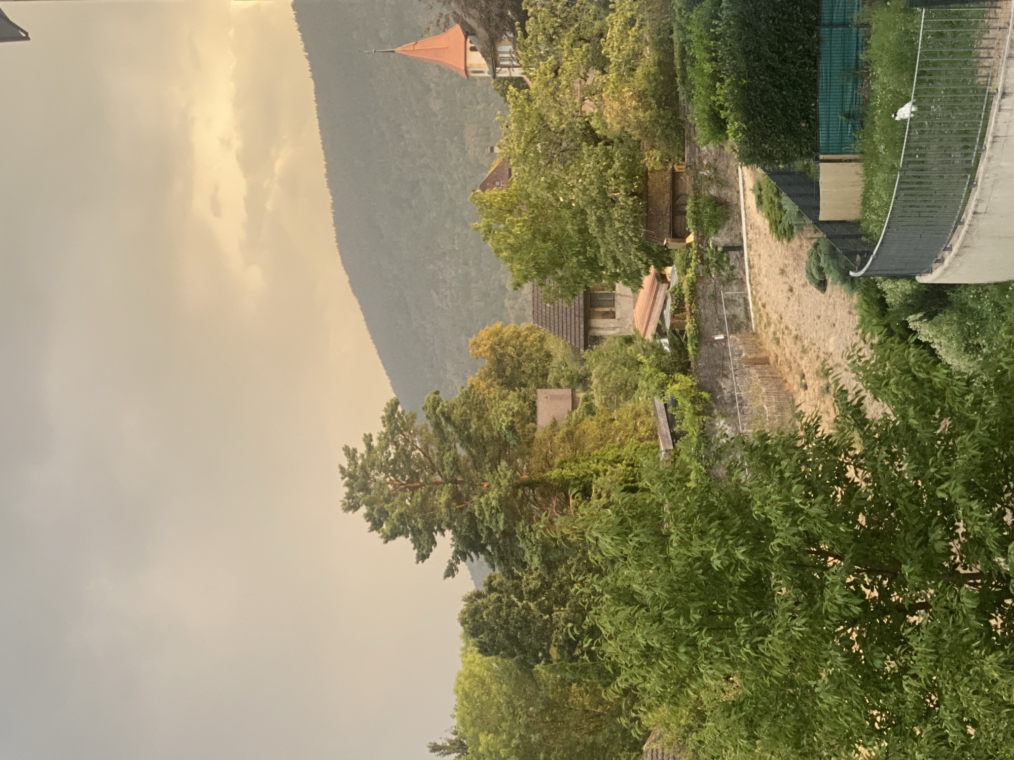 The image depicts a serene landscape scene in Milvignes, Switzerland, likely during the late afternoon or early evening, judging by the warm, diffused lighting and the overcast sky with patches of golden light. The foreground is dominated by lush green foliage, primarily trees with dense canopies. A curved, grey metal fence runs along the bottom right of the frame, with a concrete wall below it. On the other side of the fence, a patch of tall grass and wildflowers is visible, with a small white bird standing near the fence line.
The midground reveals a gently sloping terrain with patches of dry, golden grass and scattered green bushes. A stone retaining wall runs horizontally across this area, topped with more greenery and some wooden structures. Several buildings are nestled among the trees. One building, to the left of center, has a brown tiled roof and a weathered facade with visible windows. Another structure, further back, appears to be a residence.
A prominent feature in the mid-right is a church tower with a distinctive red-tiled, conical roof, topped with a cross. The tower is attached to a building with white walls and windows. Behind the buildings and trees, a large, tree-covered hill or mountain range forms the backdrop, its slopes softly defined against the hazy sky. The overall impression is one of a tranquil, semi-rural setting, typical of the Swiss countryside.