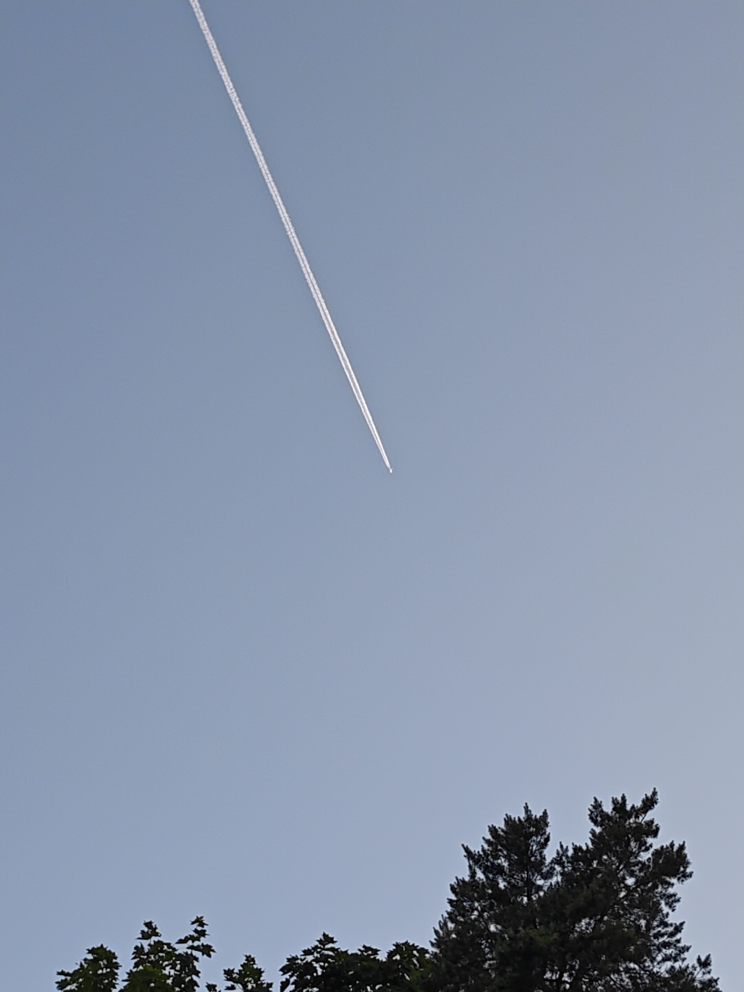In the city of Kratovo, Russia, a clear, light blue sky occupies the majority of the image. A high-altitude aircraft is visible in the upper-mid left section of the frame, appearing as a small white speck. This aircraft is at the leading edge of a long, distinct white contrail, composed of two discernible parallel lines, which extends diagonally from the aircraft toward the upper right corner of the image. The lower approximately one-fifth of the frame depicts the dark green silhouettes of various treetops against the sky. On the lower left, leafy deciduous foliage is visible, while the lower right features denser, more textured coniferous branches. No individuals, artificial structures, or overt interactions are present in the scene.