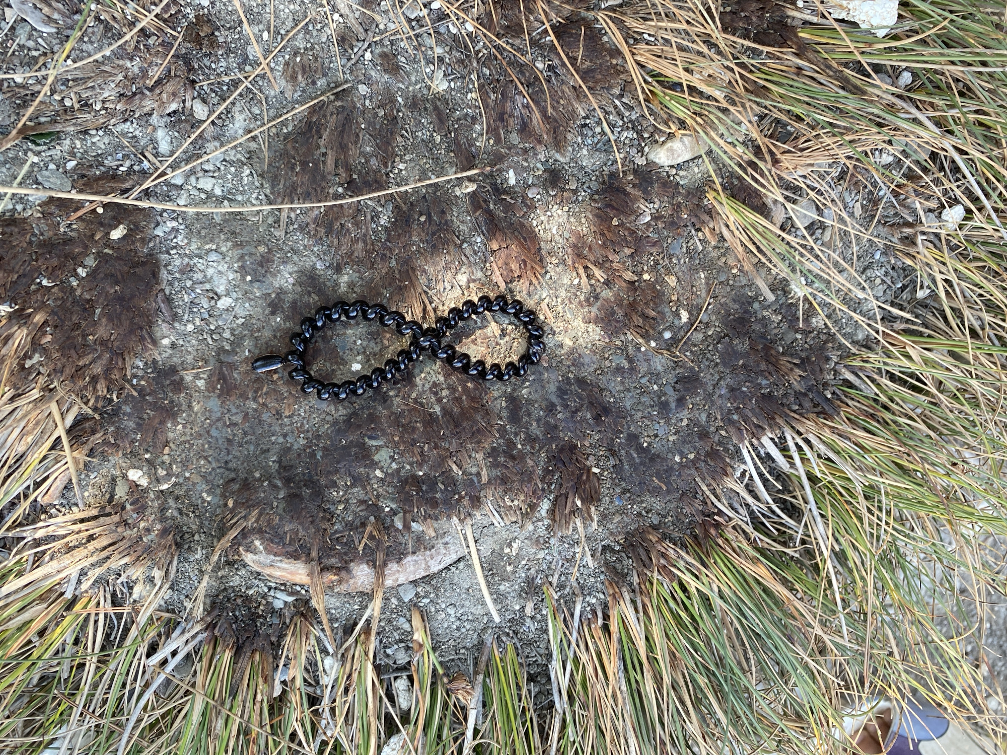 A black beaded necklace shaped like an infinity symbol lies on a patch of dry, cracked earth surrounded by dried grass and small stones. The necklace is situated in the center of the image, appearing to be the primary subject. The background consists of natural elements, suggesting an outdoor setting. The lighting indicates daylight, with shadows cast on the ground. There are no people or animals visible in the image. The location is specified as Sutomore, Montenegro.