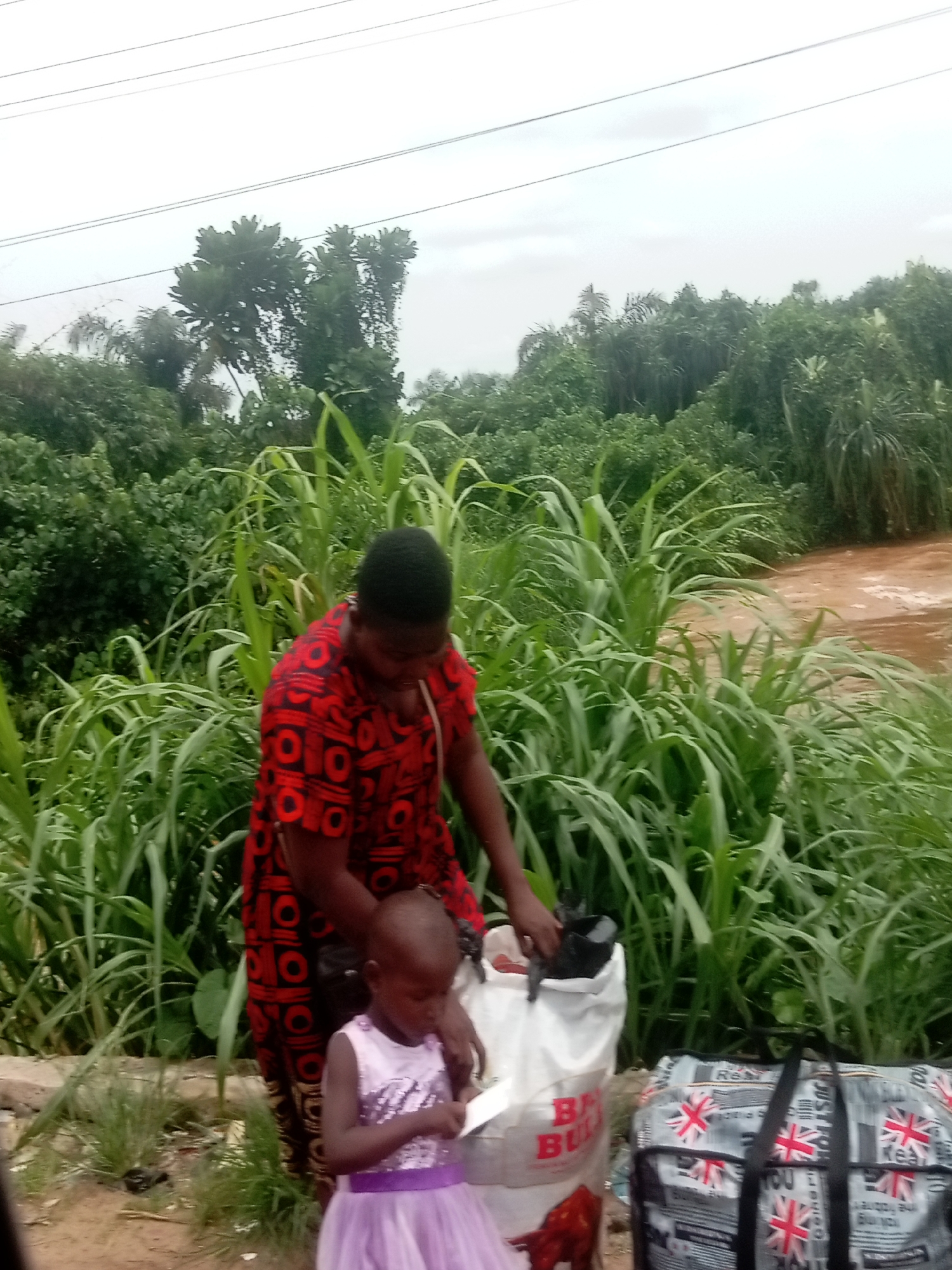 An outdoor scene in Orifite, Nigeria, captures an adult woman and a young child engaged with their belongings amidst a natural, verdant setting. The woman, wearing a red dress with a repeating black geometric pattern, is positioned over a large white bag, seemingly attending to its contents with her hands inside or near the opening. Beside her, a young girl in a shimmering light purple dress stands, looking downwards at a small object or piece of paper she holds.
The background is dominated by dense green vegetation, including tall, reedy grasses and various trees, creating a lush environment. To the far right, a muddy, reddish-brown body of water, possibly a river or floodwater, is visible. The ground where the people stand is dirt with scattered patches of grass. Above, several power lines traverse a cloudy, overcast sky, indicating it is daytime but not sunny.
Among the visible objects are the large white bag, clearly labeled "BB BULL" in red with an accompanying red bull logo, suggesting it might be a feed bag or a large utility bag. Next to it lies a black and white patterned duffel bag decorated with multiple red Union Jack flags and some indistinct English text. The scene appears to depict a pause during a journey or a moment of organizing belongings in a semi-rural or rural area, possibly under challenging conditions given the muddy water.