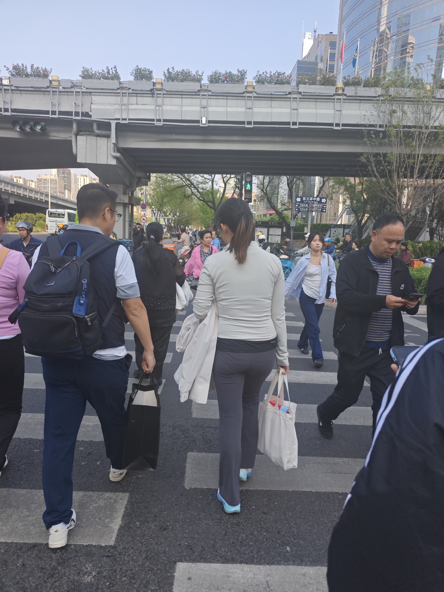 The image captures a lively urban scene in Chaoyang District, China, during what appears to be a clear day, possibly late morning or afternoon. Numerous pedestrians are crossing a street on a marked zebra crossing, moving generally from left to right.
In the foreground, a man wearing a blue polo shirt, a dark blue vest, and dark blue pants, carrying a black backpack with blue accents and a black shopping bag, walks away from the viewer. Beside him, a woman in a light long-sleeved top and dark pants carries a white tote bag. Further into the frame, other individuals cross the street; notable among them is a woman in a light blue button-down shirt over a white top and blue jeans, and a man in a black jacket and striped shirt intently looking at his mobile phone. A green pedestrian traffic light is visible on the left, indicating it's safe for people to cross.
The setting is characterized by multi-layered infrastructure, with an elevated road or overpass spanning across the scene. This overpass is adorned with planters containing flowers or bushes. In the background, modern high-rise buildings dominate the skyline, including one with a reflective glass facade that mirrors the surroundings. Flags, one red (likely the Chinese flag) and one blue, are flying from the top of this building. A prominent road sign, clearly visible, displays Chinese characters: "东三环中路" (Dōng Sānhuán Zhōnglù, meaning East 3rd Ring Road Middle) along with directional arrows pointing to destinations such as Zhongguancun, Wangfujing, and Tiananmen. The scene depicts typical daily activity in a bustling Chinese city, with people moving purposefully through the urban environment.