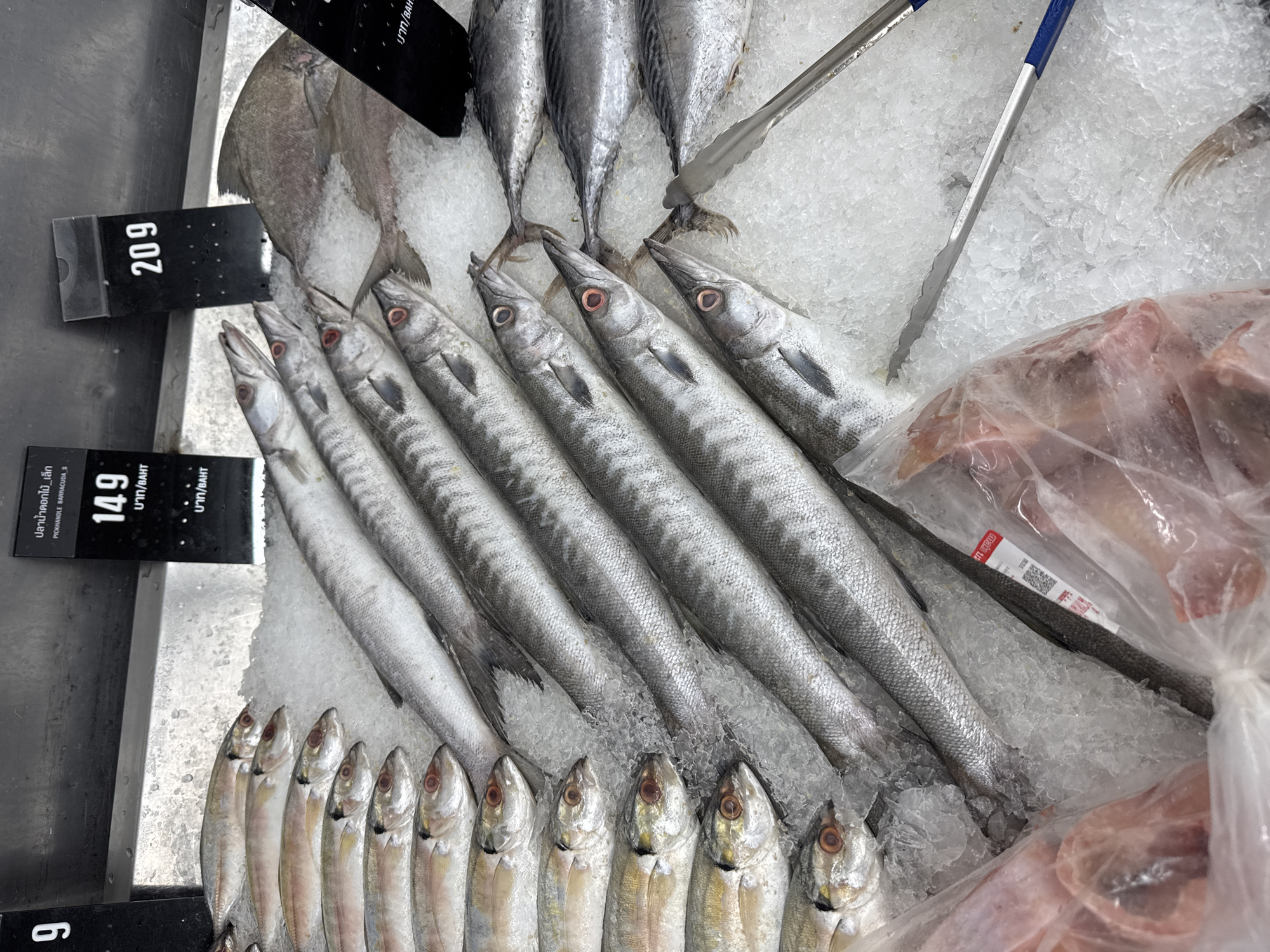 The image shows a display of fresh fish on ice in a market or grocery store, likely in Thep Krasatti, Thailand, given the Thai text on the price labels. The fish are arranged by type: a row of smaller fish at the bottom, a row of longer, slender barracuda-like fish in the middle, and a group of larger, flatter fish at the top. A set of silver tongs rests on the ice. Price tags are visible, one indicating "149" and another "209", likely representing the price per unit weight in Baht. A plastic bag containing fish is visible on the right.