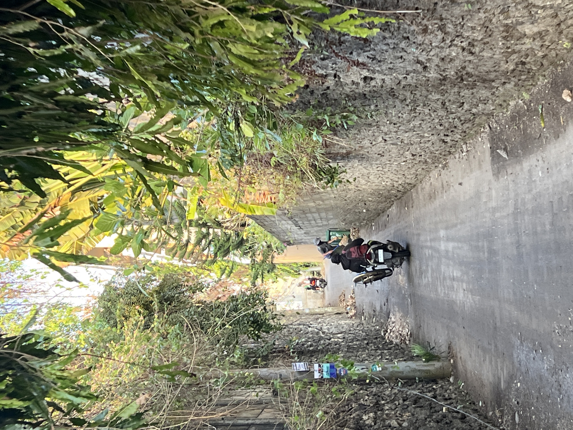 In Kuta Selatan, Indonesia, a narrow, sun-dappled alleyway is depicted. The alley is flanked by rough, stone walls covered in vines and vegetation. The ground is a paved, worn surface, with some debris scattered along the edges. Sunlight filters through the dense green foliage overhead, creating a dappled effect on the path. Two individuals on scooters are visible. In the foreground, a person wearing a dark jacket and backpack rides a scooter away from the camera. Further down the alley, another scooter is seen with a person wearing a light-colored shirt. The overall impression is of a quiet, lived-in urban pathway surrounded by abundant greenery.