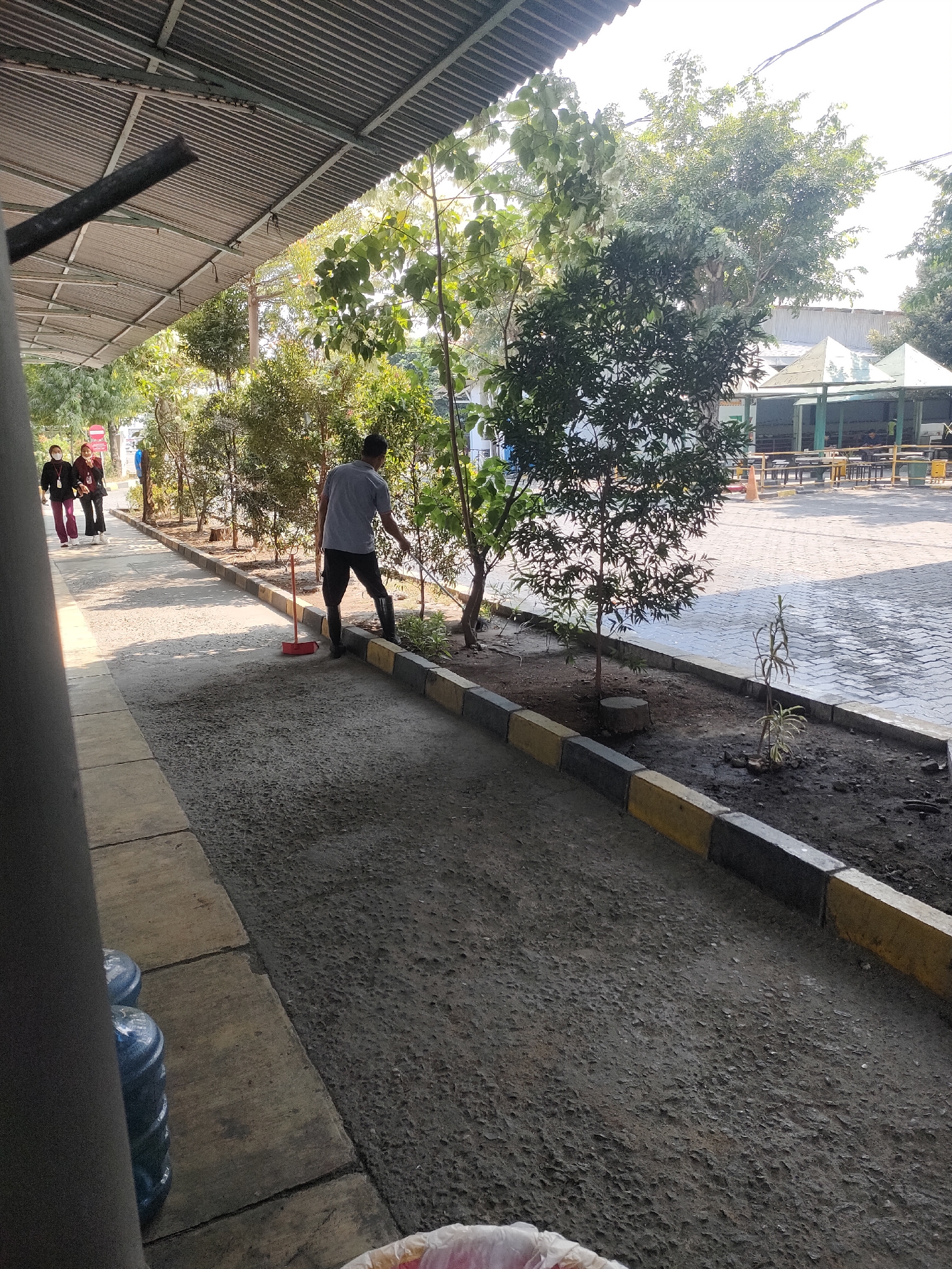 In Sayung, Indonesia, a man wearing black boots and dark pants is sweeping the ground with a red broom. He is positioned on a pathway next to a landscaped area with several small trees. Behind him, two women in casual attire are walking away from the camera. The pathway is paved with rough aggregate material, and it is bordered by a concrete curb with alternating yellow and black sections. Beyond the pathway and landscaped area, there is a paved outdoor seating area with tables and benches under a covered structure. The scene is illuminated by natural sunlight, casting shadows on the ground.