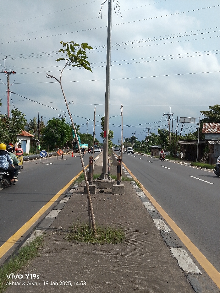 A daytime view captures a two-lane road in Arjawinangun, Indonesia, with a central median strip. The sky is partly cloudy, suggesting an overcast or bright conditions. The perspective is from the median, looking down the road.
On the left side of the road, traffic is flowing, including motorbikes with riders wearing helmets. One motorbike with two passengers in a yellow and black helmet is prominent in the foreground. Further down this lane, an excavator and orange traffic cones or barriers indicate construction or maintenance work, with a blue circular sign showing a white arrow pointing left. Buildings with corrugated roofs and trees line the left side of the road.
The central median features concrete bases supporting tall, slender poles, possibly for streetlights or utilities. One such pole has red numbering "1 2". A small, young tree with green leaves and other smaller wooden stakes grow from the median. Grass patches are also visible.
The right side of the road also shows vehicles, primarily motorbikes and some cars, traveling in the opposite direction. The road is marked with yellow and white lines, delineating lanes and the edges of the median. Utility poles with numerous overhead wires crisscross the sky. Buildings and lush vegetation are also present along the right roadside.
A watermark in the bottom left corner reads "vivo Y19s Akhtar & Arvan 19 Jan 2025, 14:53". The scene depicts routine traffic flow alongside ongoing roadwork.
