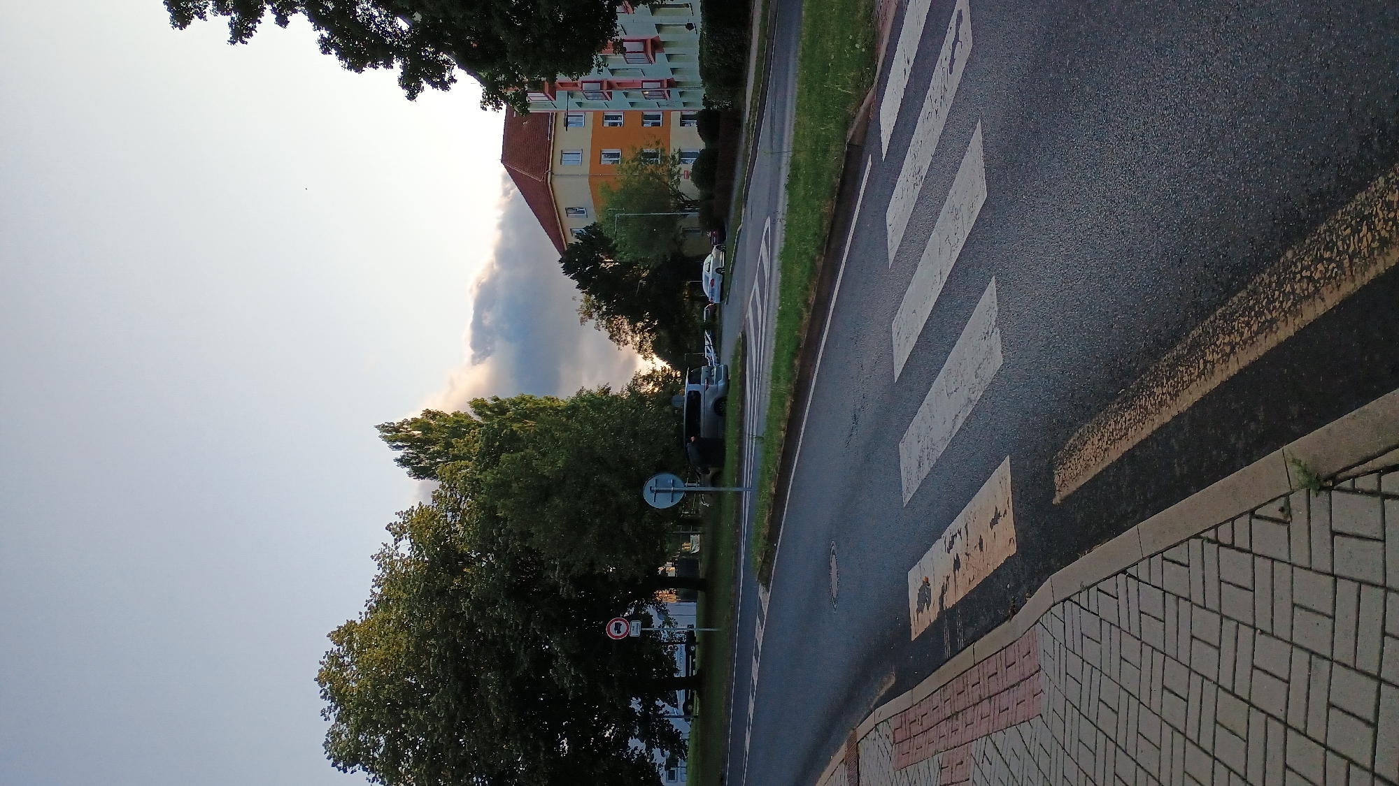 A wide-angle, eye-level shot captures a street scene in Sokolov, Czechia, at what appears to be dusk. A prominent crosswalk with white stripes dominates the foreground, leading towards a street intersection. To the left, a sidewalk made of grey and red interlocking pavers lines the street, with a curb separating it from the asphalt.
Beyond the crosswalk, the intersection reveals a small roundabout with a traffic sign. Several vehicles are visible: a grey van parked near the roundabout, a silver sedan, and other cars in the distance. Green grass and trees surround the intersection, with mature trees on the left and taller, slender trees on the right.
In the background, two apartment buildings are visible. The building on the left has a red-tiled roof and orange and yellow facades. The building to its right features a green facade with pink balconies. The sky above is a pale blue with scattered clouds, tinged with the warm light of the setting sun. A single bird is visible as a small dark speck in the sky. A circular traffic sign indicating "no entry for all vehicles" is mounted on a pole near the trees on the left.