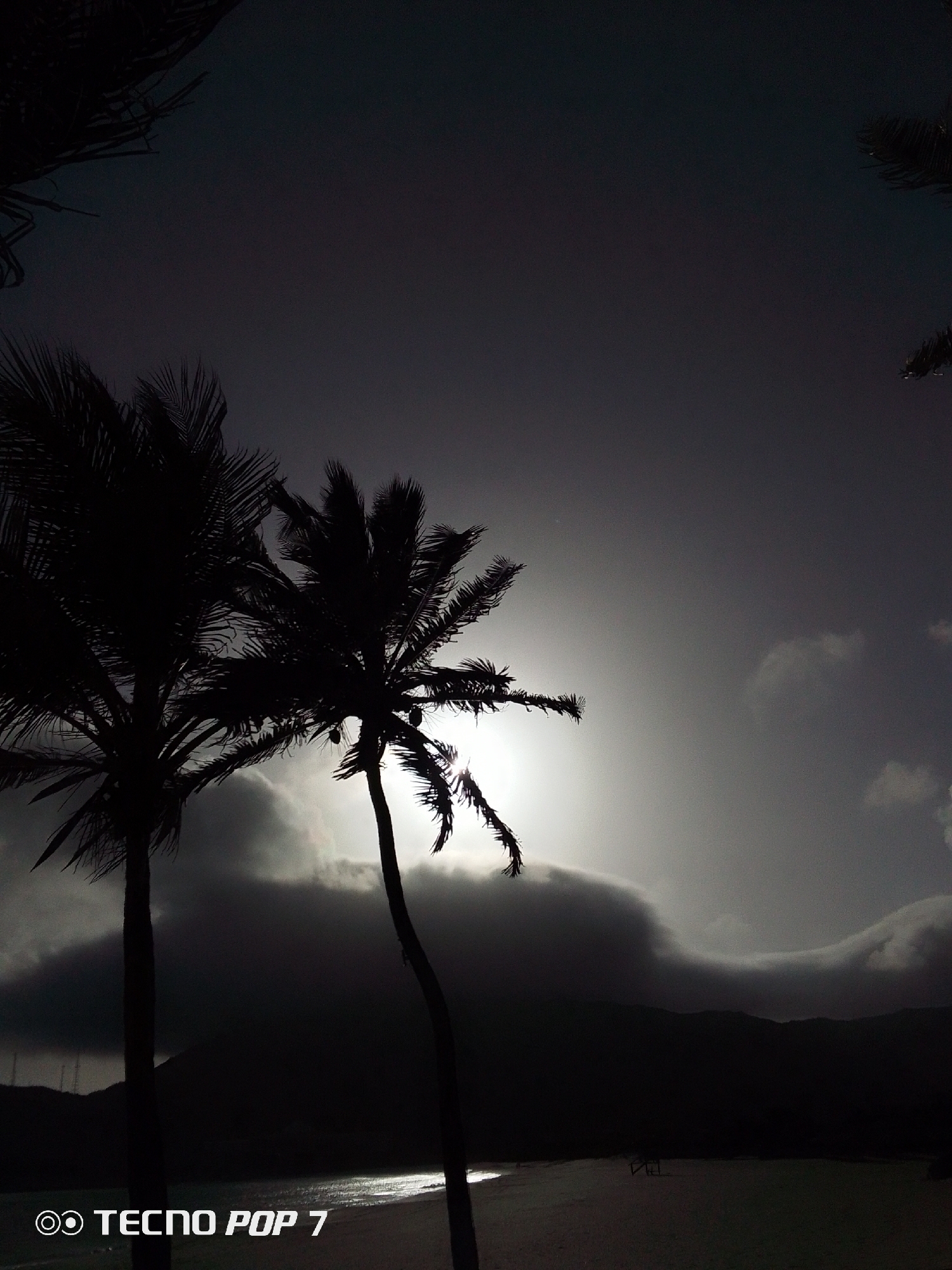The image depicts a nighttime scene in Pedro González, Venezuela, featuring two palm trees silhouetted against a bright, cloudy sky, suggesting either sunrise or sunset. The foreground shows a beach with a faint reflection on the water. In the distance, a dark land mass, possibly a mountain range, is visible. The words "TECNO POP 7" are printed in the lower left corner of the image.