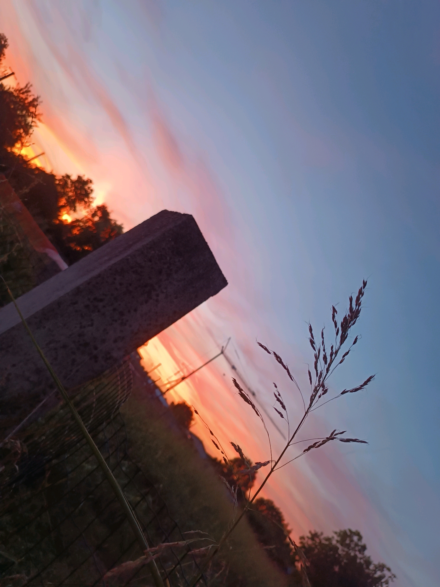 The image depicts a rural scene at sunset, with a tilted perspective. In the foreground, a stalk of dried grass is silhouetted against a sky painted with streaks of orange, pink, and blue. To the left, a weathered concrete post, possibly part of a fence or structure, is prominently featured. Behind it, trees with vibrant orange foliage suggest the setting sun. A wire fence is visible in the lower left quadrant. The overall impression is one of a quiet, natural landscape at dusk. The image does not contain any information that would allow for a specific location within Viadana, Italy to be identified.