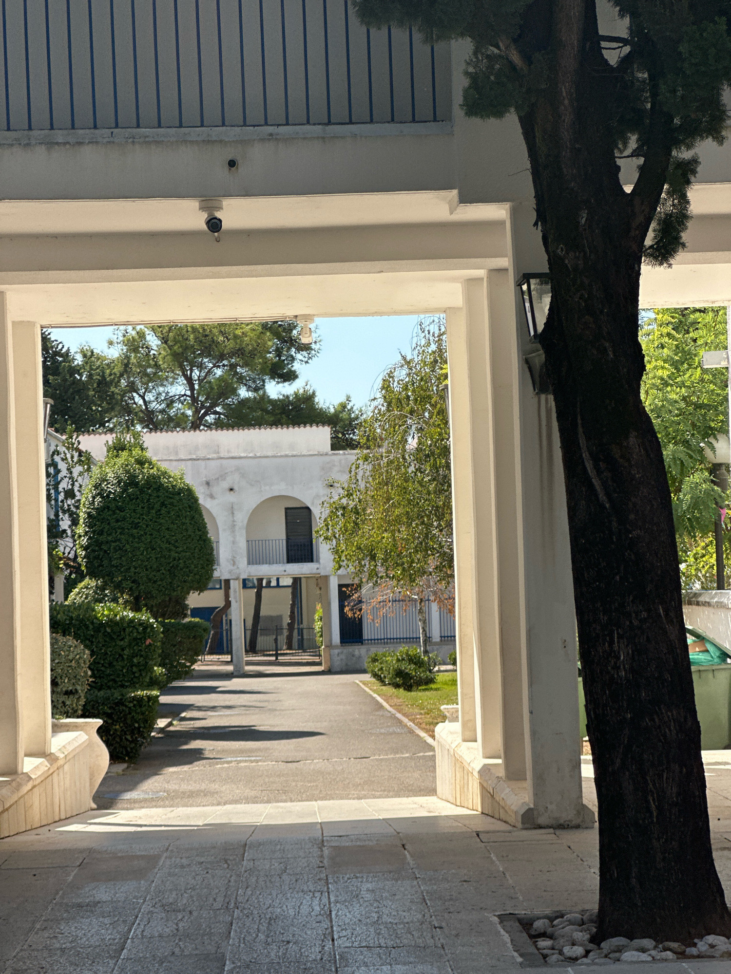 The image captures a sun-drenched courtyard area, likely part of a school or administrative building, in Budva, Montenegro. A pathway, paved with light-colored square tiles and darker asphalt, leads through an open colonnade. This colonnade is defined by large white pillars and an overhead structure. To the right, a large, dark-barked tree stands prominently, its trunk thick and textured, with branches extending upwards. Beyond the colonnade, the courtyard opens up to a white building with arched doorways and windows, framed by manicured green bushes and trees. The sky is clear and blue. There are no people visible in the scene. Security cameras are mounted on the underside of the overhead structure.