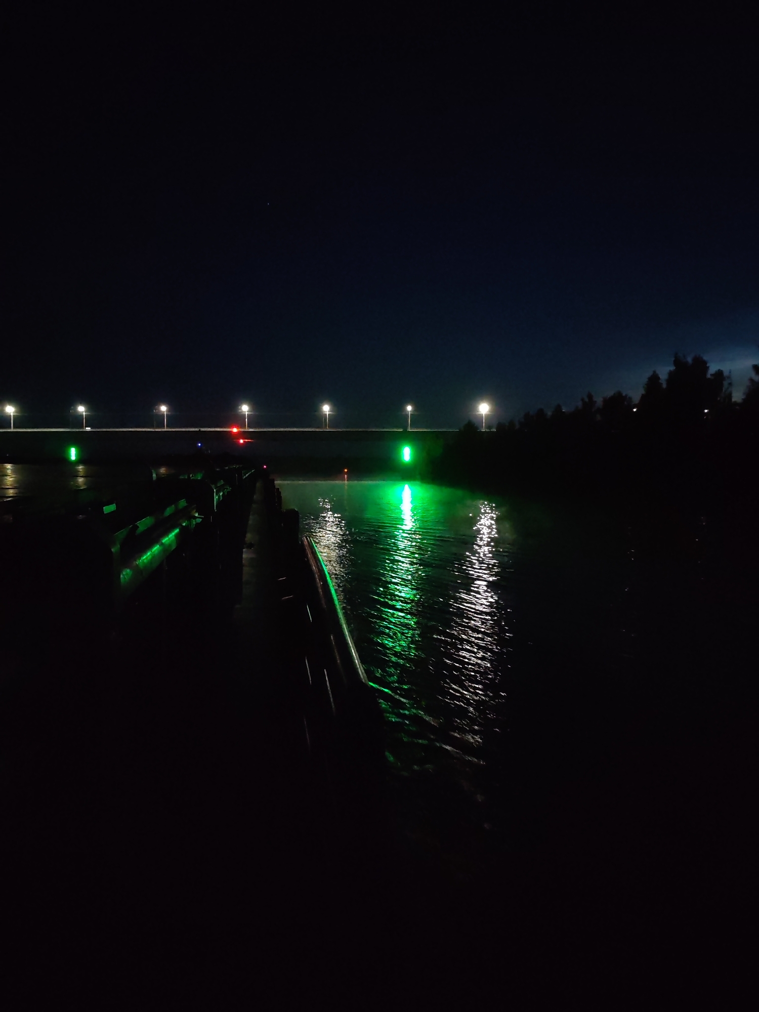 The image depicts a nighttime scene by the water in Sheksna, Russia. A pier with green lighting extends into the dark water, reflecting the light. Across the water, a bridge with white streetlights is visible, stretching into the distance. Silhouetted trees line the far bank of the water. The sky is dark, with a single star visible in the upper left quadrant. The overall atmosphere is serene and still, with the artificial lights creating a striking contrast against the natural darkness.