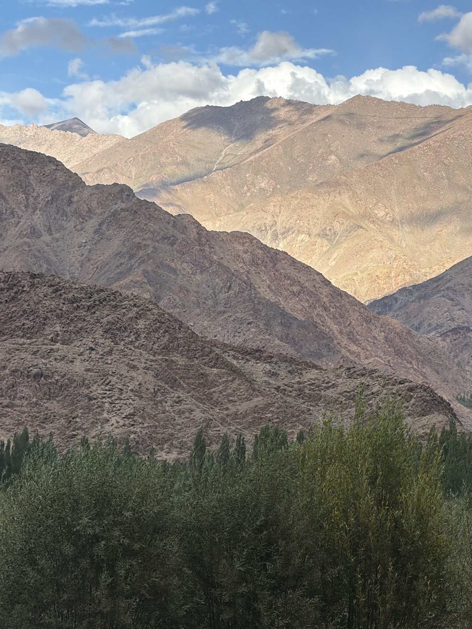 The image shows a landscape of mountains and trees under a partly cloudy sky. The mountains are layered and textured, with some areas illuminated by sunlight and others in shadow. The foreground is dominated by lush green trees, with a line of taller, more slender trees visible in the distance behind them. The sky is blue with scattered white clouds, some of which are casting shadows on the mountains. The scene appears to be in a rural or natural setting, possibly in the region of Yuluk, India, given the mountainous terrain and the type of vegetation. There are no people or man-made structures prominently visible.