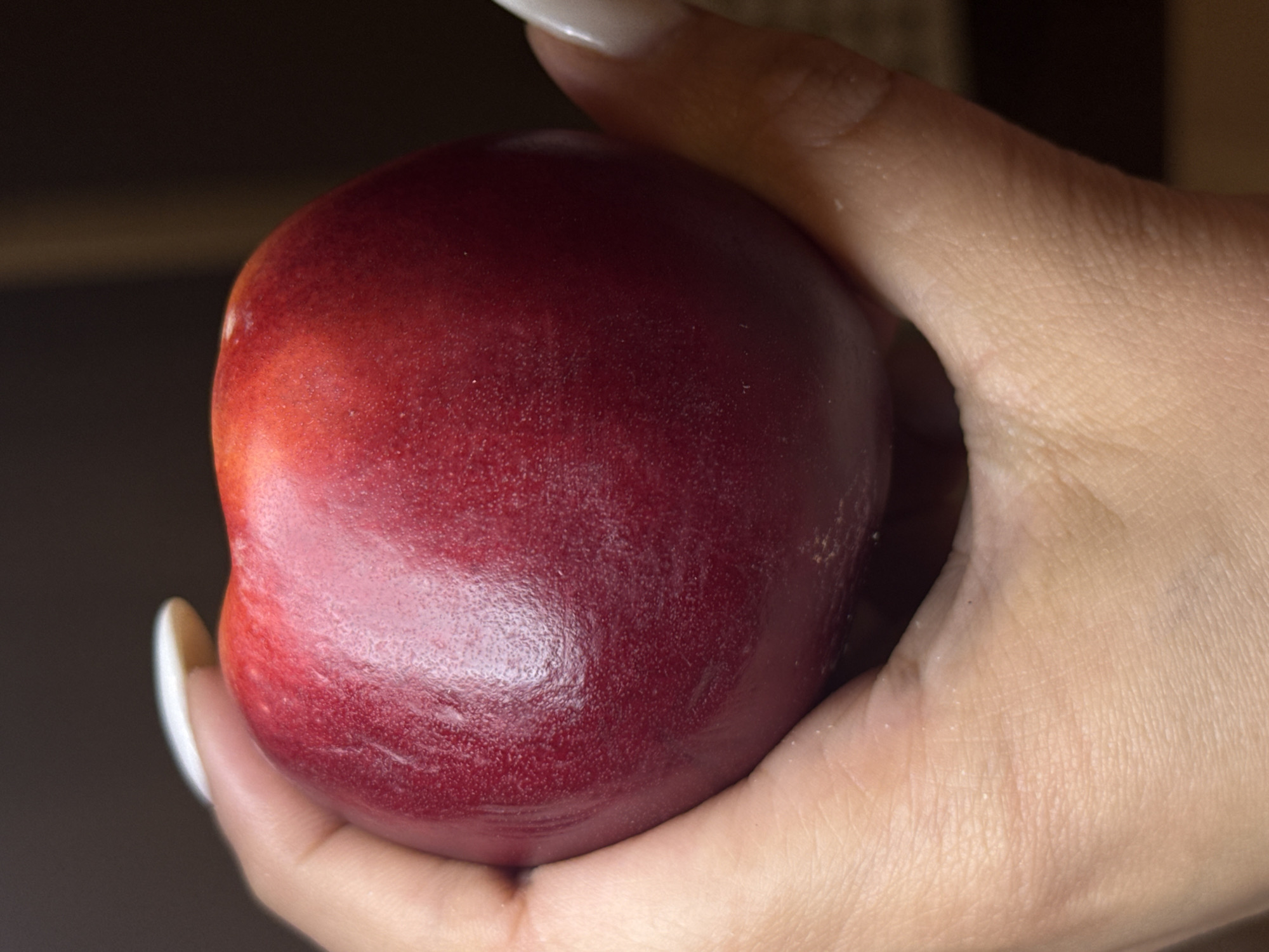 A close-up, vertical, eye-level shot shows a hand holding a ripe nectarine. The nectarine is a deep red color with some lighter red and yellow undertones. The skin of the nectarine has a slightly textured appearance with small pores. The hand holding the nectarine has fair skin and long, white-tipped fingernails. The background is dark and out of focus, with a hint of brown and beige. The scene appears to be indoors, with soft lighting.