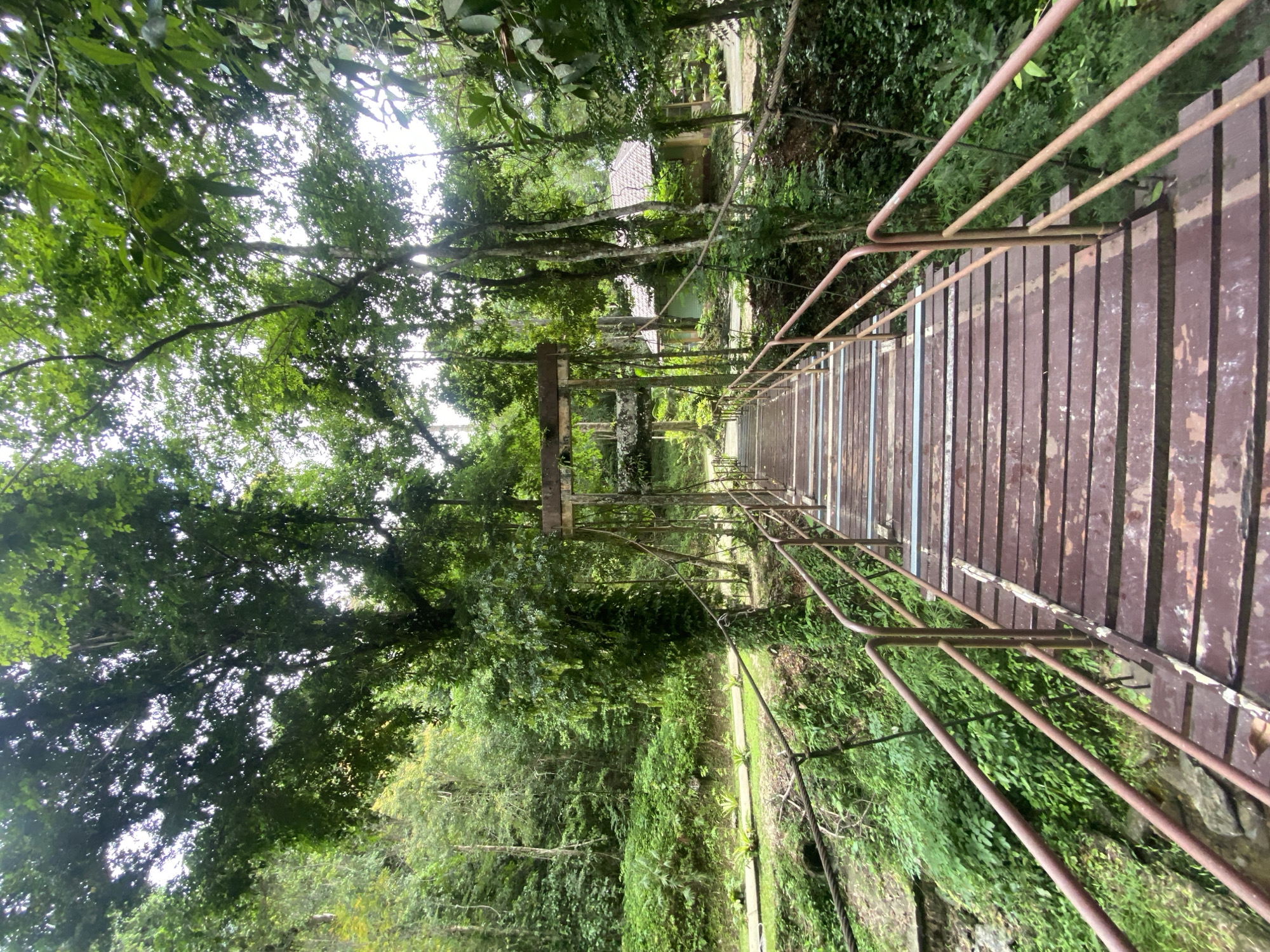 The image depicts a suspension bridge in a lush, green environment, possibly a jungle or forest. The bridge is constructed with wooden planks and metal railings, appearing somewhat aged or rustic. The perspective is from the bridge itself, looking straight ahead. The path beyond the bridge appears to lead to a building of some kind and is enclosed by more green vegetation. The location is identified as Tambon Thai Mueang, Thailand.