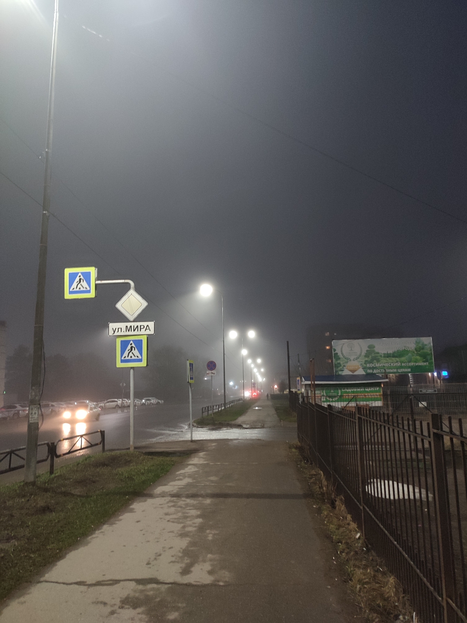 The image depicts a street scene at night in what appears to be Chaikovsky, Russia. The street sign "ул. МИРА" indicates that this is Mira Street (Peace Street). The weather conditions are foggy, with poor visibility. The foreground features a wet pavement sidewalk and a metal fence running along its right side. A grassy area separates the sidewalk from the road. On the left side of the street are several parked cars with headlights visible in the fog. Street lights illuminate the scene, casting a glow in the foggy atmosphere. Further down the street, there is a large billboard that shows some plants on it. A few indistinct figures can be seen walking in the distance.