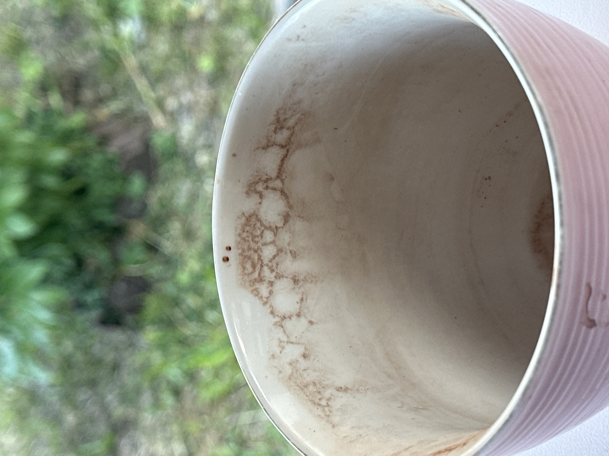This image, captured in Nizhny Novgorod, Russia, presents a close-up, high-angle view of the interior and upper exterior rim of a ceramic mug, observed against an out-of-focus natural green background. The mug's interior is a light, possibly cream or off-white, color. Brownish residue, indicative of a dried beverage such as coffee or tea, adheres to the inner surface, forming distinct, branching, vein-like patterns, particularly concentrated near the rim. Two small, dark brown circular stains are visible on the innermost part of the rim at the top-center. The exterior of the mug, partially visible at the bottom of the frame, is pink with a horizontally ribbed or ridged texture. The background consists of blurred green foliage, suggesting an outdoor setting or a view from a window overlooking vegetation. No people, discernible actions, or interactions are visible.