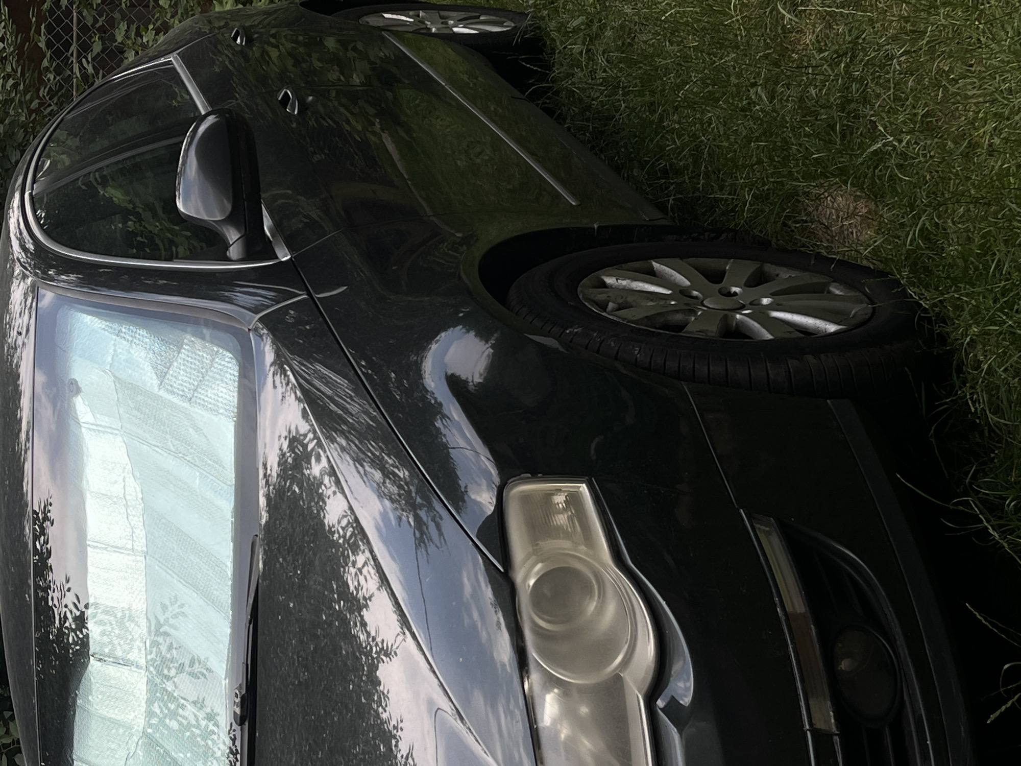 The image shows a dark-colored car, possibly a sedan or SUV, lying on its side in overgrown grass. The car's exterior is mostly visible, including its wheels, headlights, side mirror, and a portion of its windshield. The car appears to be in a grassy area with some foliage. The lighting suggests it might be daytime, possibly with overcast skies as indicated by the reflections on the car's surface. There are no people visible in the image. The scene is oriented such that the car is on its side, with the wheels facing upwards and towards the viewer in some parts of the image. The overall impression is of a car that has been involved in an accident or has overturned. The presence of a chain-link fence in the background suggests a boundary or enclosure. The location context indicates Lviv, Ukraine, but there are no specific visual cues in the image to confirm this. There is no visible text in the image.