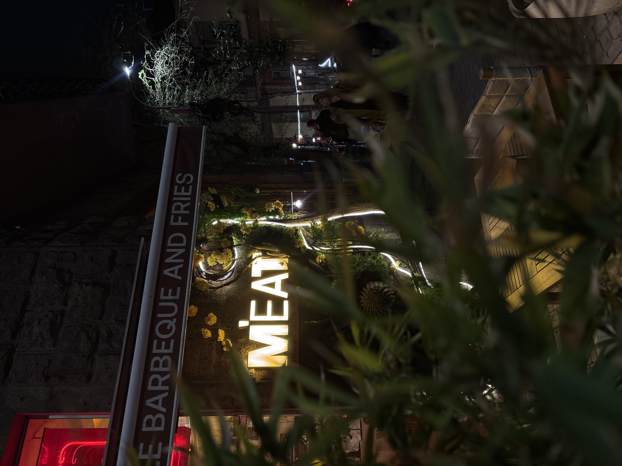 At night in Yerevan, Armenia, a restaurant sign reads "Meat Barbeque and Fries" in illuminated letters. The sign is decorated with flowers and illuminated wire. People are present in the background. Vegetation is prominent in the foreground.