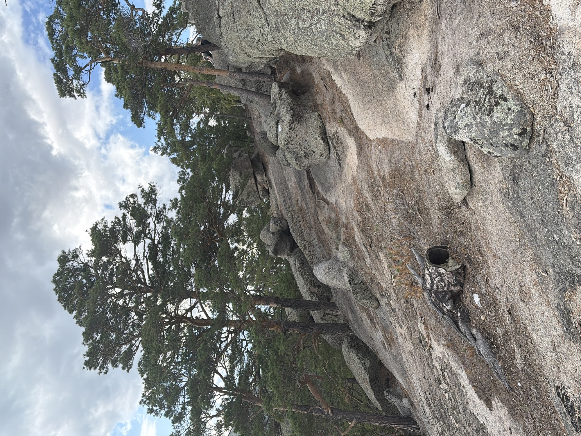 The image depicts a natural landscape with a rocky incline dotted with pine trees under a cloudy sky. The terrain is characterized by large, weathered granite boulders of various sizes, interspersed with patches of dry grass, pine needles, and soil. Several mature pine trees with sparse foliage and gnarled branches stand on the slope, some growing directly from the rocks. In the foreground, a section of a hollowed-out log lies on the ground, surrounded by debris. The midground features a winding path or trail formed by lighter-colored rock surfaces. In the upper right portion of the image, two individuals can be seen seated on a large boulder, appearing to be resting or observing the surroundings. The overall scene suggests a natural park or wilderness area, likely within or near the Зелёный Бор rural district in Kazakhstan.