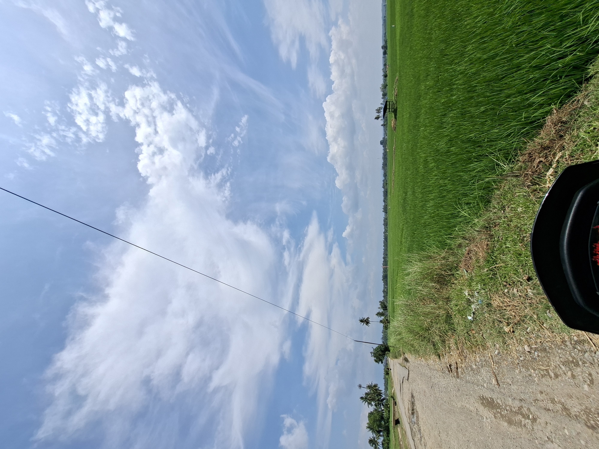 The image depicts a vast, vibrant green rice paddy field stretching towards a distant horizon under a partly cloudy sky. A rough, unpaved road runs along the left side of the frame, bordered by dry grass and some scattered debris. Coconut palm trees and other vegetation are visible on the left side of the road, leading into the distance. A small, dark-colored structure, possibly a shelter, is situated within the rice field in the mid-ground. A thin black electrical wire stretches diagonally across the upper portion of the image, disappearing out of frame. The perspective suggests the photo was taken from a moving vehicle, possibly a motorcycle, as indicated by the lower portion of the vehicle's dashboard visible in the foreground. There is no indication of the city of Cutneuheun, Indonesia, within the image itself.