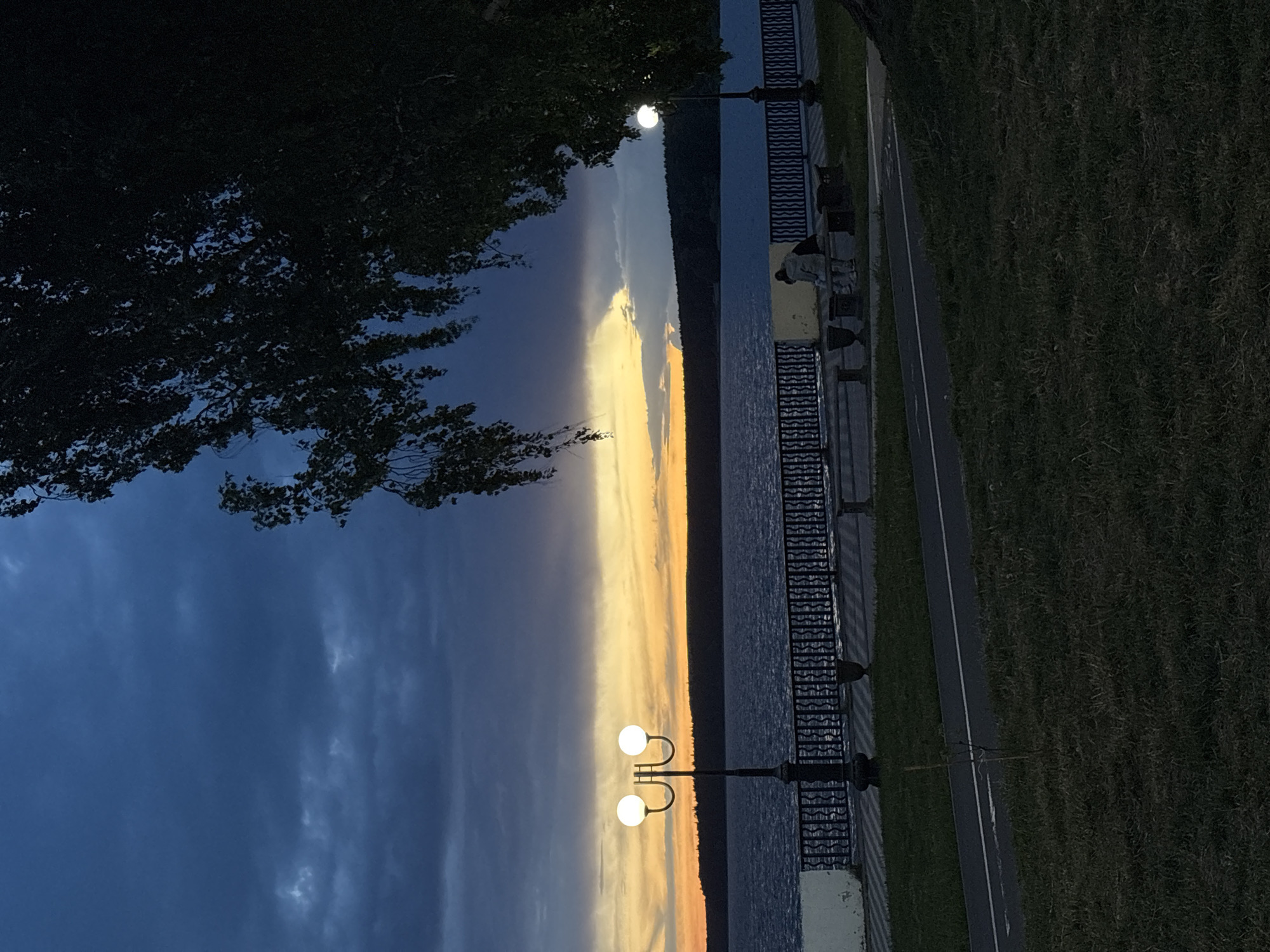 A dusk landscape in Votkinsk, Russia, features a body of water, possibly the Votkinsk Reservoir, framed by sky in varying shades of blue, yellow, and orange. Along the water's edge is a promenade with dark benches, ornate metal fencing, and lamp posts with spherical lights. To the left, dark tree branches obscure part of the sky. To the right of the promenade is a strip of green grass. No people are visible.
