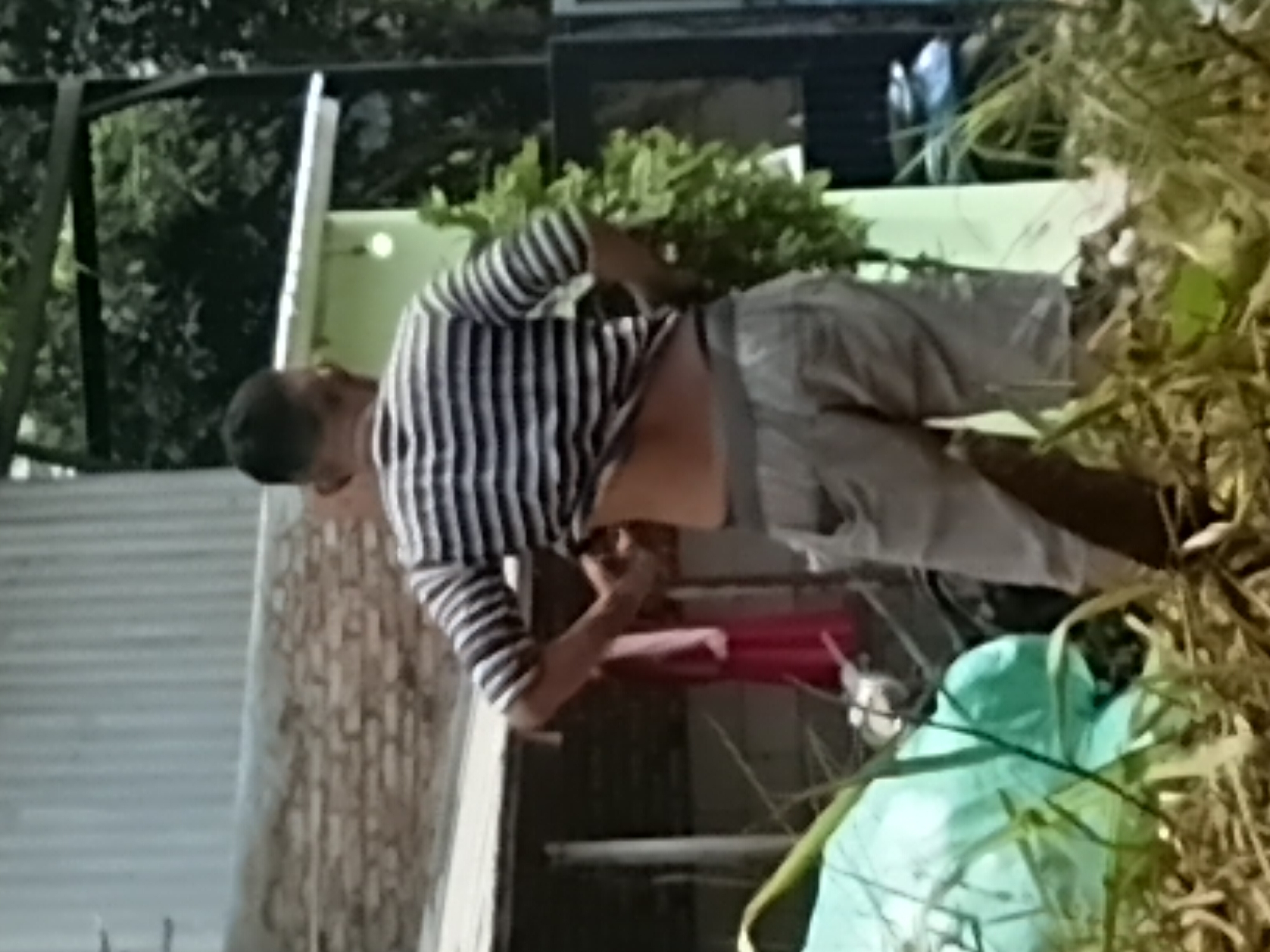 In Bekasi, Indonesia, a person wearing a striped t-shirt and shorts is seen from behind. The individual is adjusting their shorts, which appear to be a light brown color. Behind them, a building with a corrugated metal roof and brickwork is visible, along with some greenery and a fence. The ground in the foreground is covered with dry leaves and grass.