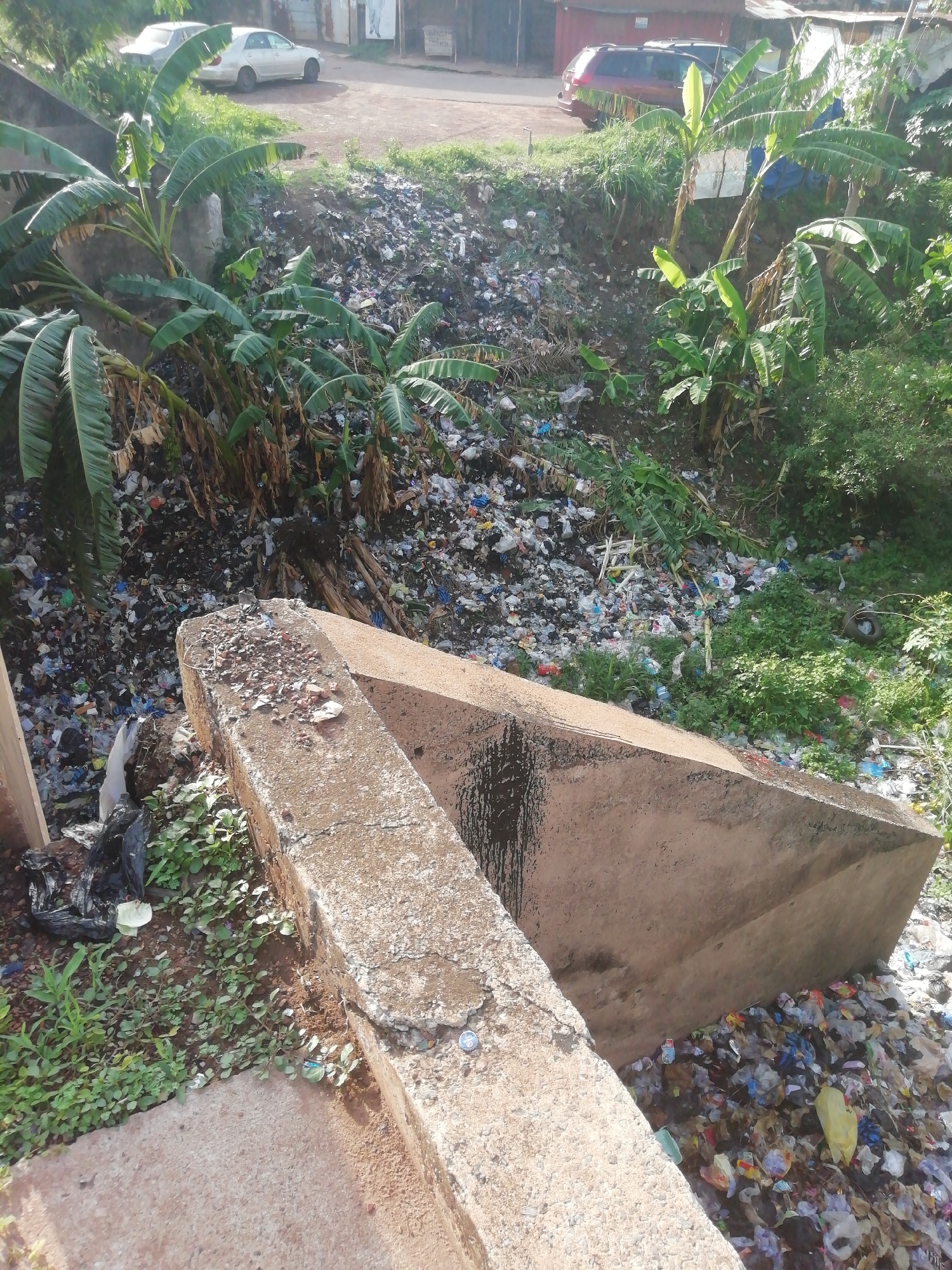 The image depicts a large quantity of trash and debris accumulated in a ravine or ditch in Enugu, Nigeria. The trash includes plastic bags, bottles, paper, and other waste materials. Banana trees and other vegetation grow amongst the refuse. In the foreground, there are concrete structures, potentially parts of a damaged bridge or wall. The background shows a street with cars parked and some buildings. There are no people visible in the image. The environment appears polluted and unsanitary.
