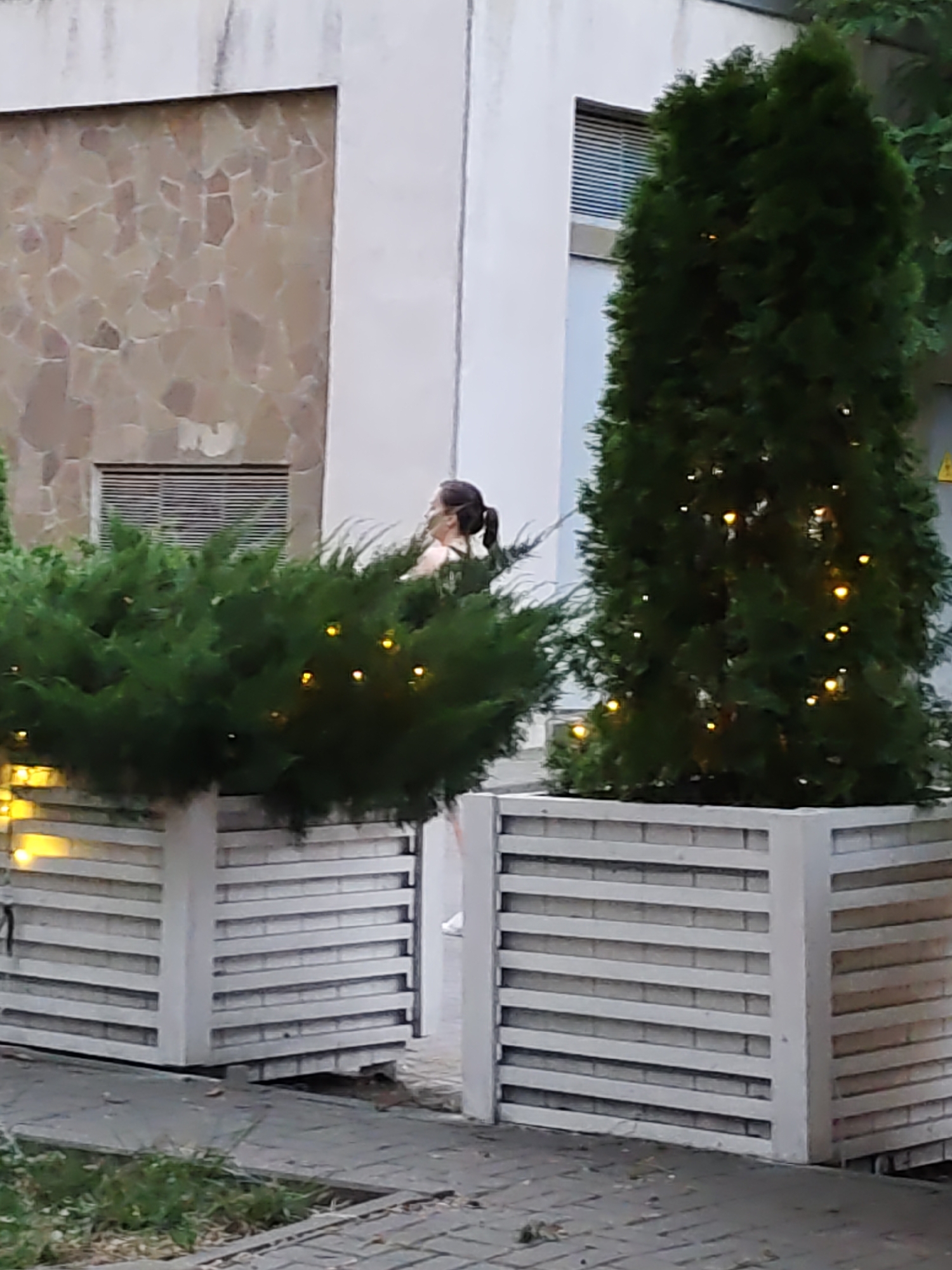 The image shows an outdoor scene with two large planters in the foreground. The planter on the left contains a bushy green shrub adorned with small yellow lights. The planter on the right holds a tall, conical evergreen tree, also decorated with similar yellow lights. A woman with dark hair tied in a ponytail is visible behind the shrub on the left, looking to the right. She appears to be wearing a light-colored top. Behind the planters is a building with a textured stone facade on the left and a smooth white section on the right. A window with horizontal blinds is visible on the stone section. The ground is paved with gray square tiles. The scene appears to be a street or public space in Rostov-on-Don, Russia.
