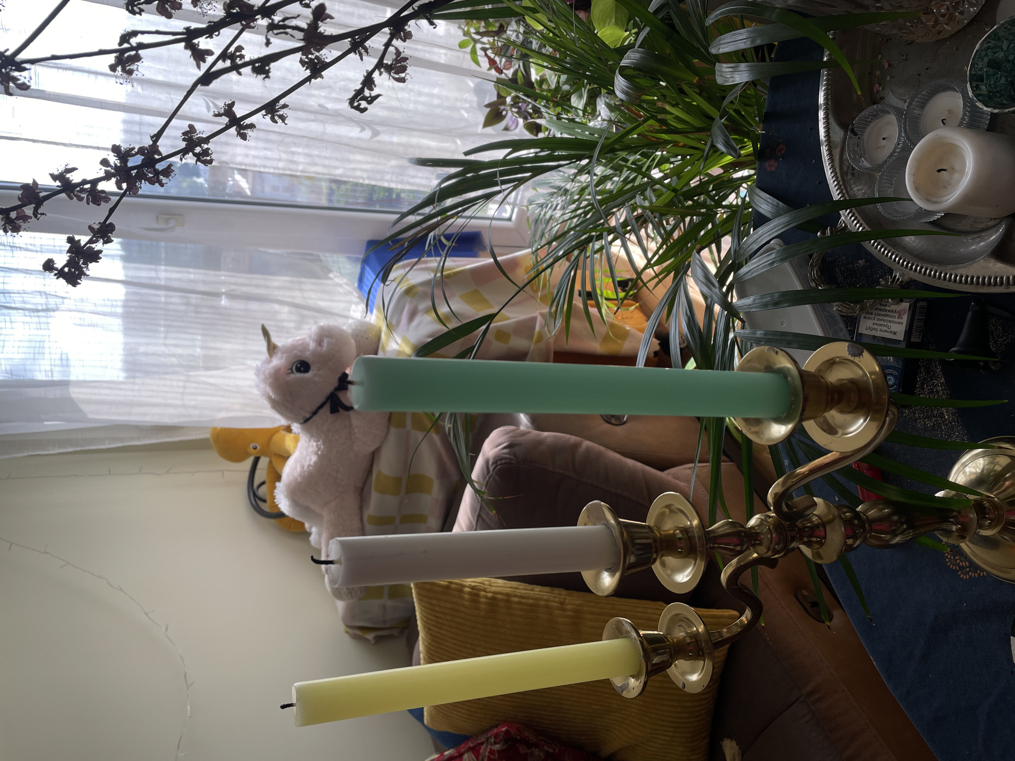 The image shows an interior scene with a window in the background covered by a sheer curtain. In front of the window, there is a plush unicorn toy with a dark ribbon around its neck. Various pillows and cushions are scattered in the background, including a yellow and white checkered pillow and a yellow corduroy pillow.
In the foreground, a three-branched brass candelabra holds three unlit candles in the colors of green, white, and yellow. A potted palm plant stands next to the candelabra, and some of its leaves are draped over the candelabra.
To the right, partially obscured by the plant, is a silver tray with an assortment of white candles in glass holders. A blue cloth with a floral pattern covers a surface next to the tray. A magazine or book with Cyrillic text is also visible near the tray.
The scene is likely indoors, possibly a living room or a similar domestic setting. There are no people present.
The location is inferred to be in Belgrade, Serbia based on the presence of Cyrillic text on the magazine.
