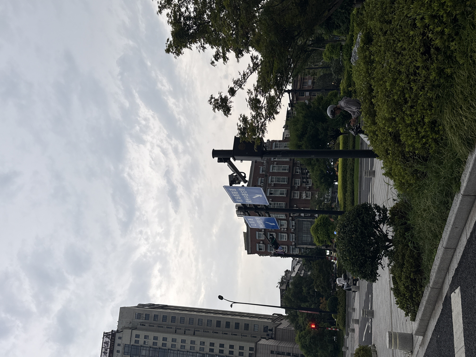 The image shows a street scene in Yiwu, China, under a cloudy sky. In the foreground, a person wearing a helmet and a grey hoodie is sitting on a scooter, looking at their phone. They are surrounded by dense green bushes and some tall grass. A paved pedestrian area with white lines marking a crosswalk and concrete bollards is visible behind the bushes. A red traffic light is illuminated to the left.
Further back, a tall, modern building with many windows stands on the left side of the image. To the right of this building, a street lamp with a curved arm is visible. In the mid-ground, there are several multi-story brick buildings. Traffic signs with Chinese characters and blue directional arrows are mounted on a pole. Trees with green foliage are scattered throughout the scene, with a particularly large tree dominating the right side of the image, its branches extending towards the sky. The overall environment appears to be an urban setting with a mix of commercial buildings, pedestrian areas, and greenery.