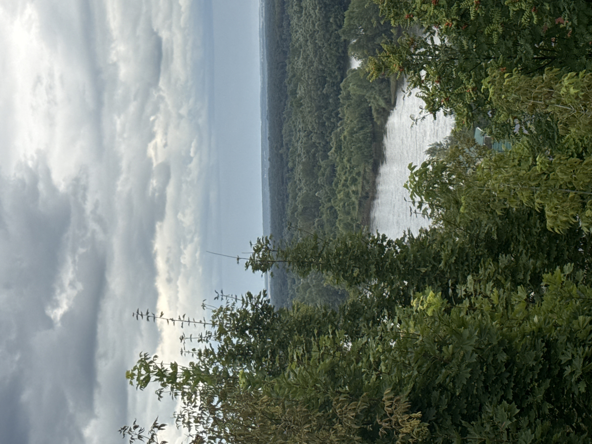 The image depicts a panoramic view from a high vantage point overlooking a wide river and a dense, green forest. The sky is overcast with dramatic, grey clouds, suggesting a potentially stormy or moody atmosphere. In the foreground, lush green foliage from trees, some with leaves appearing slightly yellowed, partially obscures the view. A winding river flows through the landscape, its surface reflecting the diffused light. The background is dominated by an expansive, undulating forest, stretching towards a hazy horizon. A sliver of lighter land is visible in the far distance, possibly indicating human settlement or a change in topography. The overall impression is one of natural, untamed wilderness. Based on the typical landscape views of Ufa, this scene is likely from a scenic overlook such as the viewpoint near the Monument to Salavat Yulaev, offering a vista of the Belaya River and the surrounding forested areas. No people, animals, or specific man-made structures are clearly identifiable within the frame.